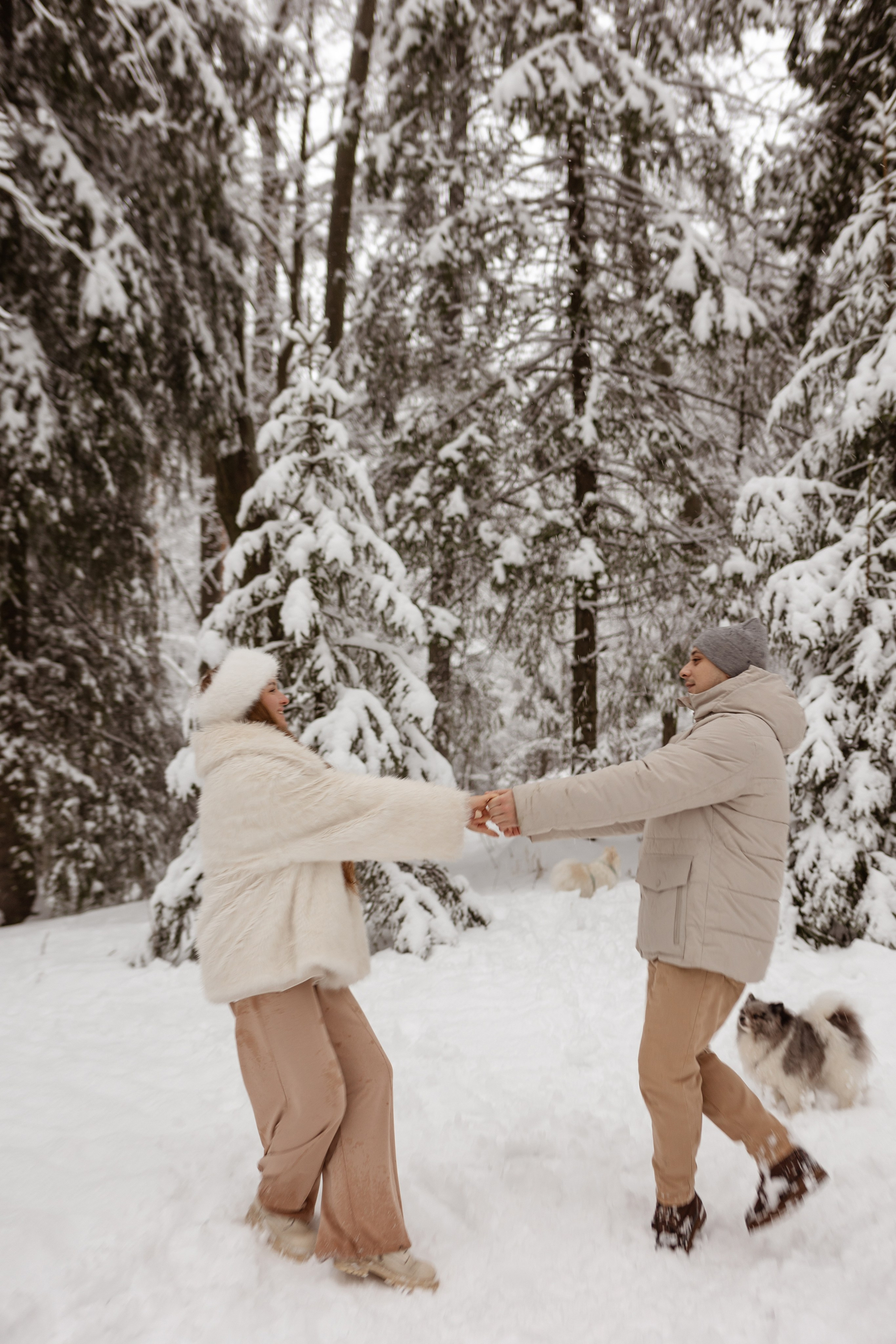 Новогодняя фотосессия с собачками в шуваловском парке. Свадебный фотограф в СПБ | Санкт-Петербурге Анастасия Рахимгулова