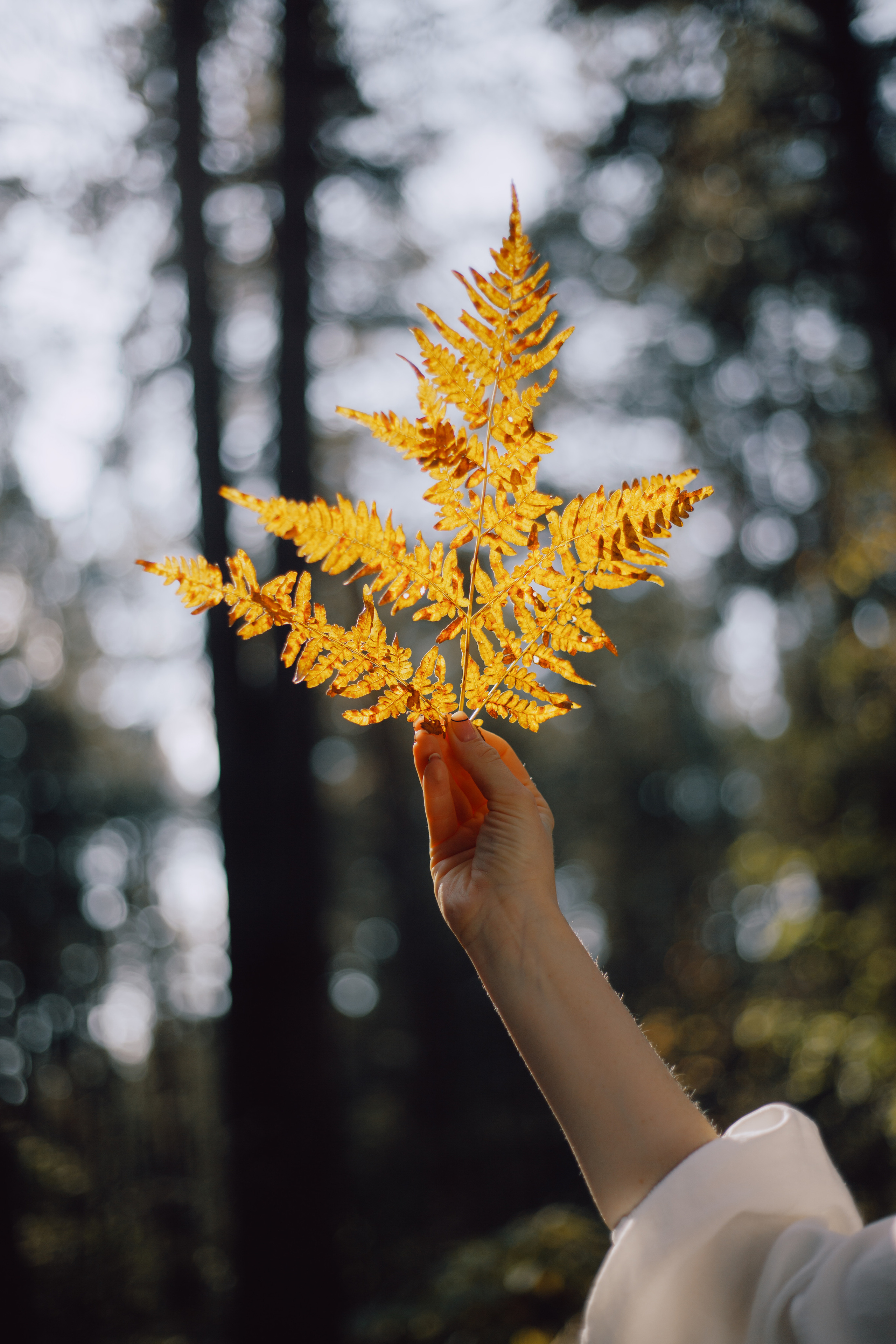 Фотосессия для девушки осенью. Портретный фотограф Антон Зуев в Нижнем Новгороде