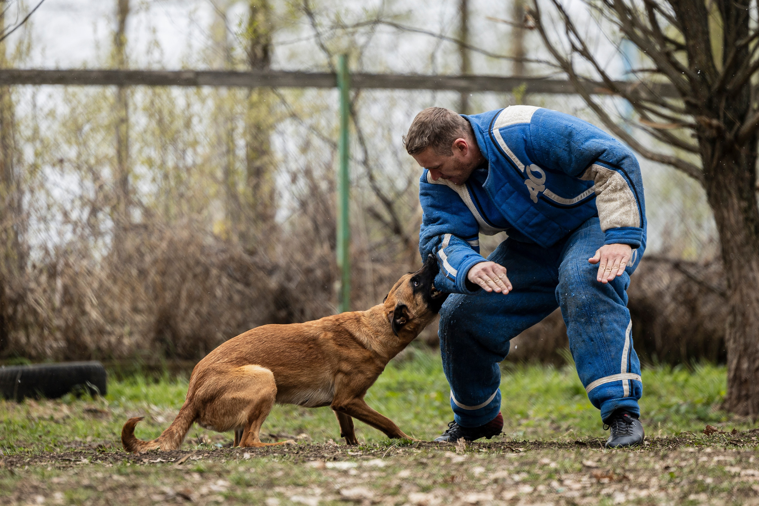 Квалификационные состязания по мондьорингу г. Вологда 11.05.24. Фотограф-анималист Анна Маринич