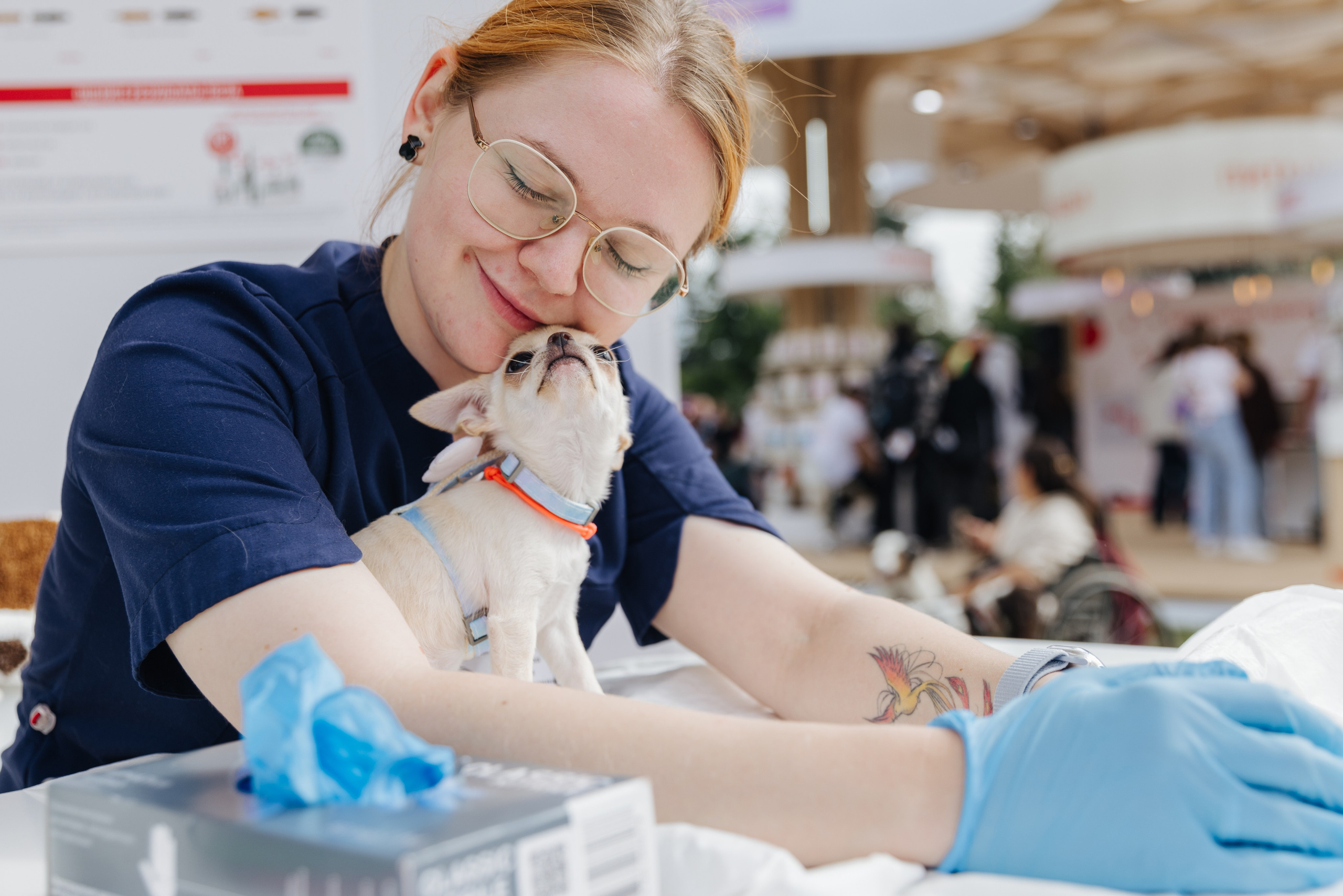 Хвостатый репортаж. Аксана Лисовская фотограф в Москве. Фотографии с характером
