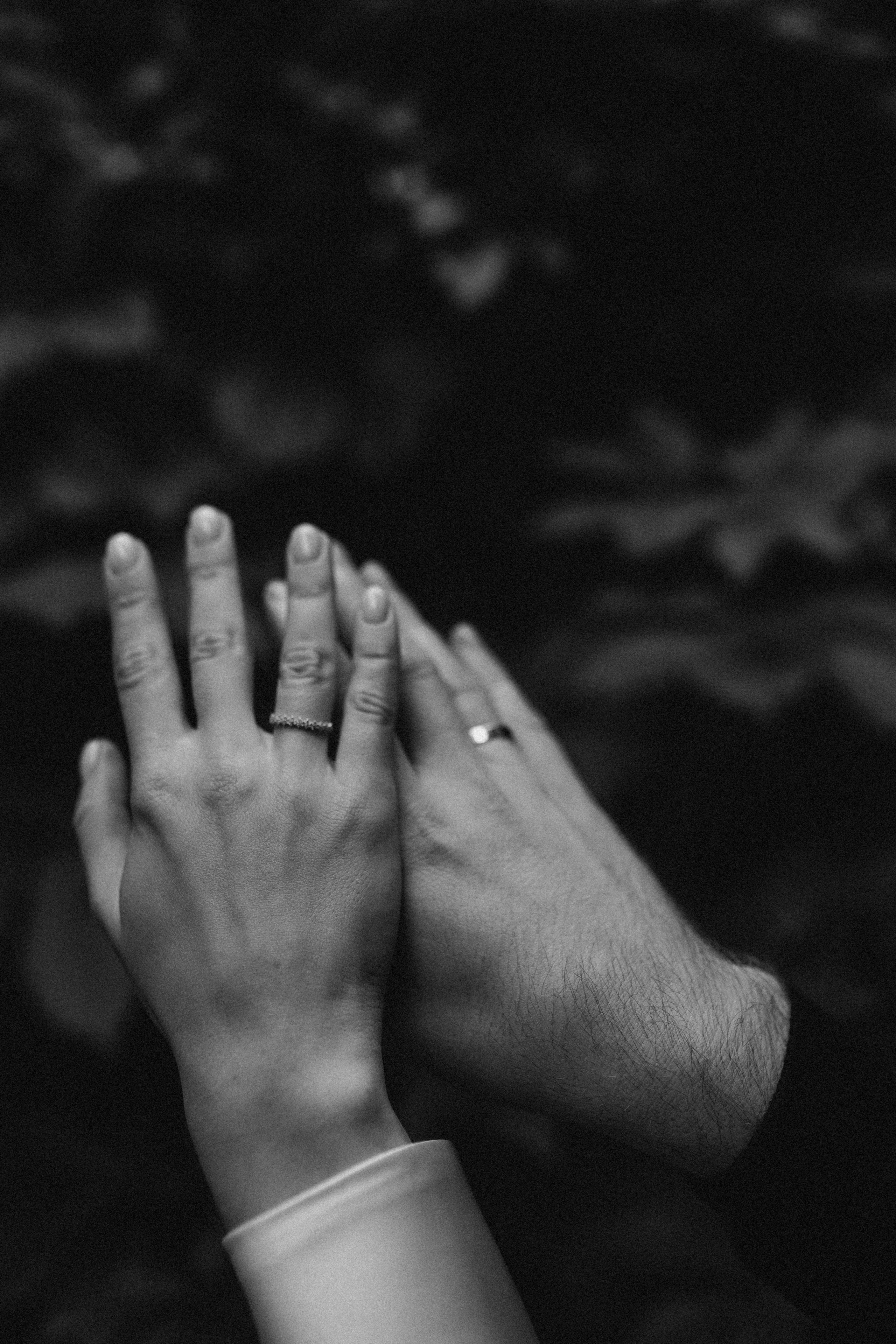 Алексей и Дарья. Свадебный фотограф в Саратове Антон Слепов