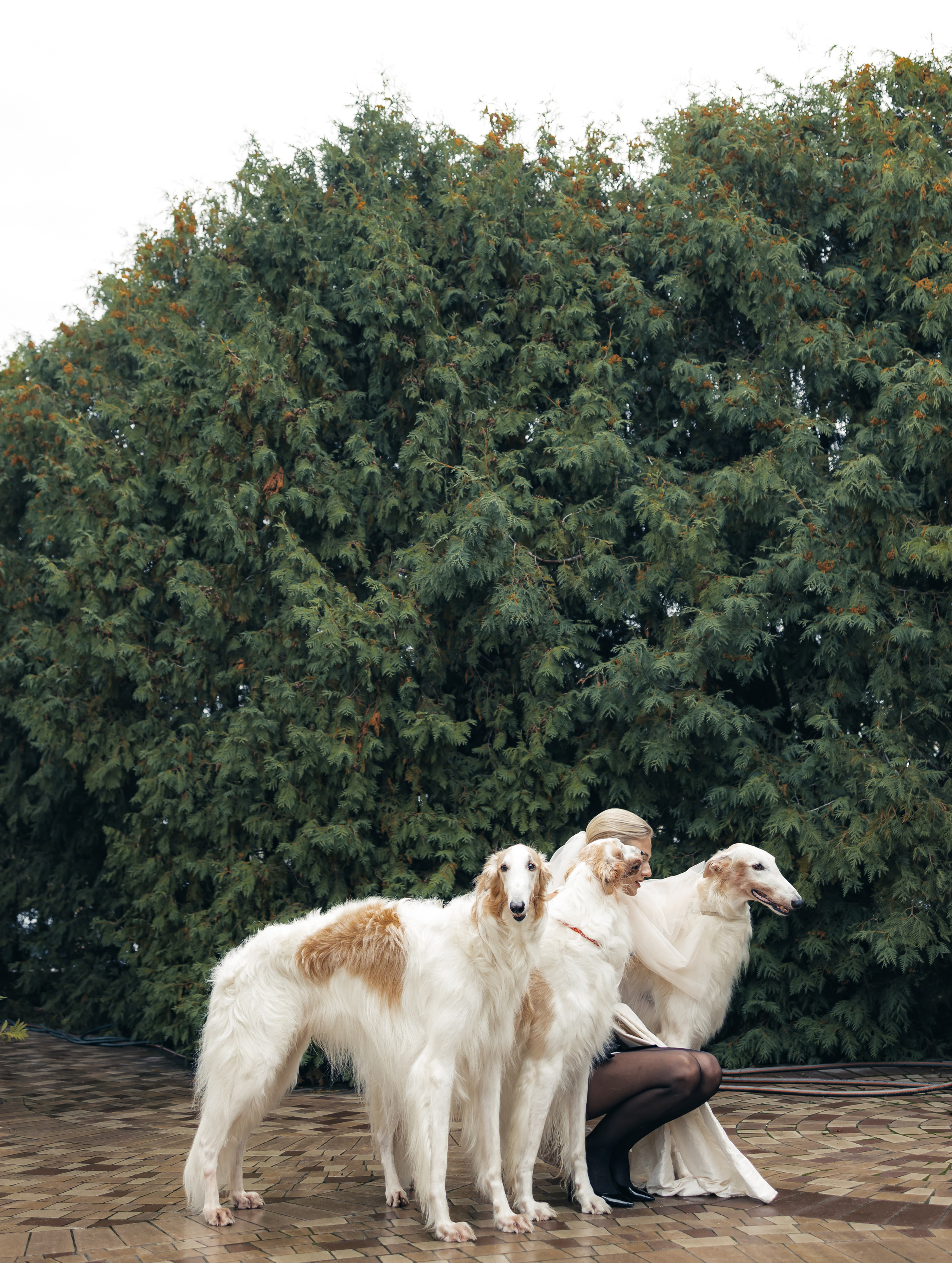 Валерия. Фотограф Алина Мкртычева