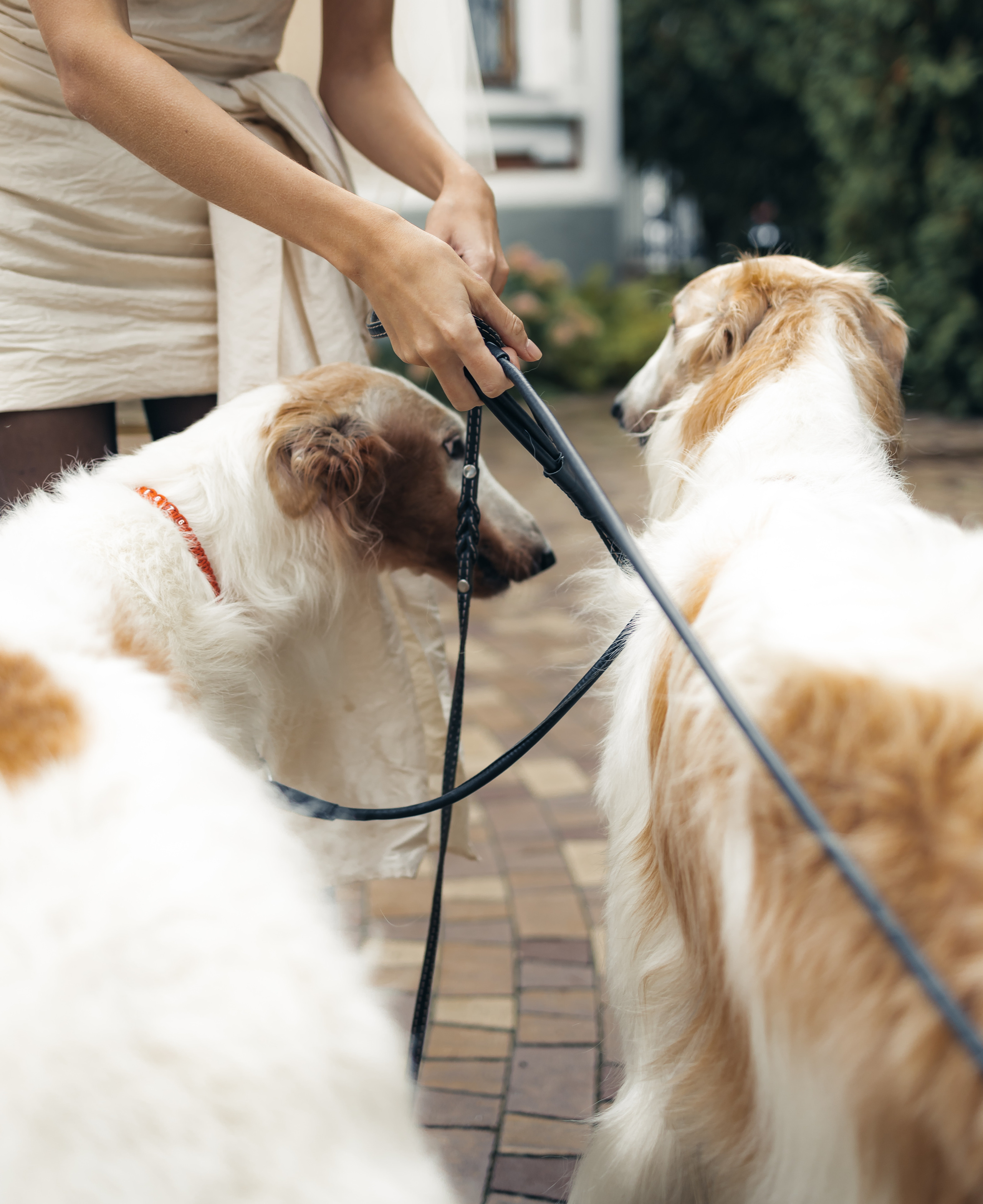 Валерия. Фотограф Алина Мкртычева