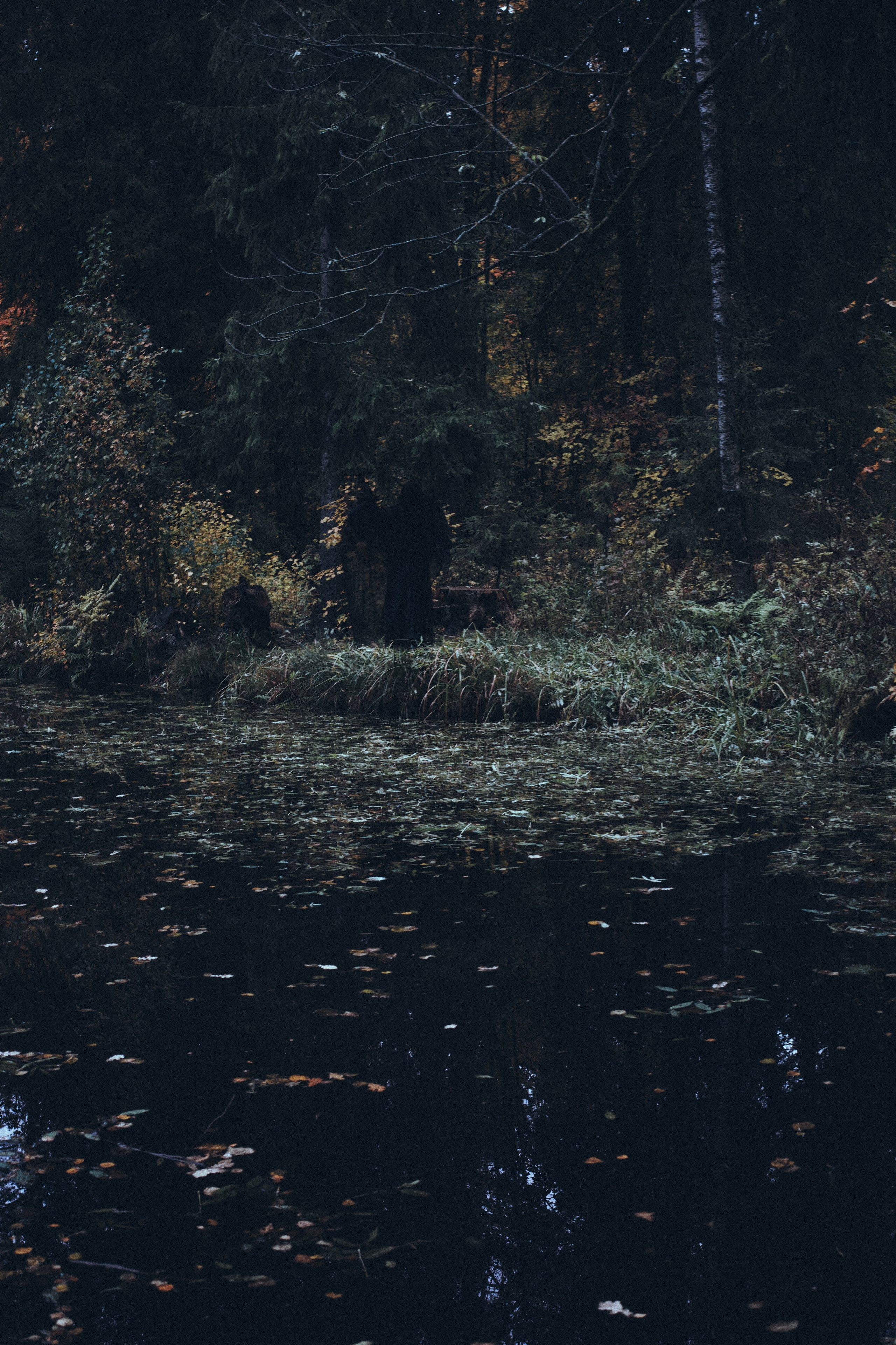 Где спит туман. Ваагн Малхасян | Фотограф | Санкт-Петербург. Создаю атмосферные кадры
