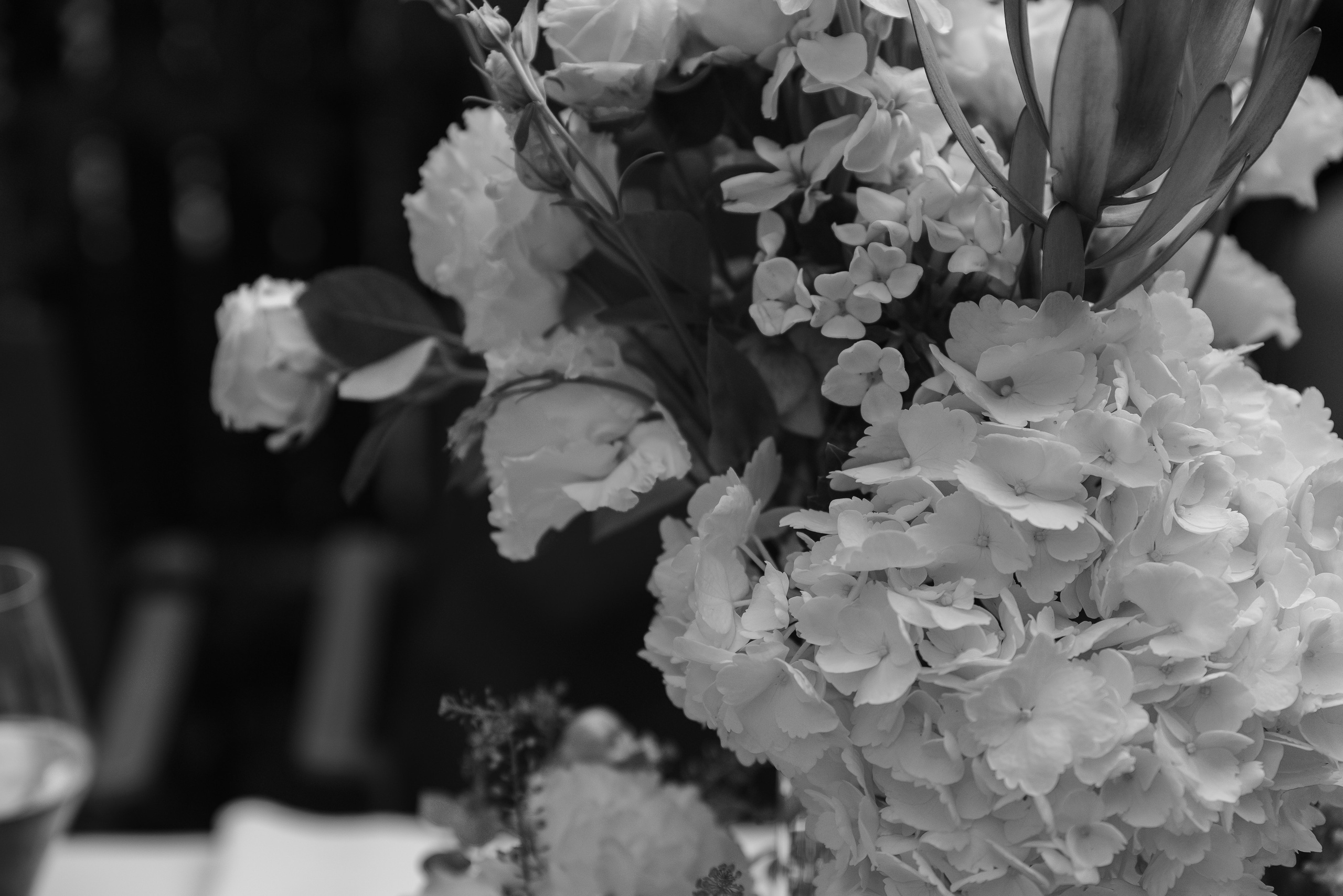 Летняя история из Санкт-Петербурга. Фотограф Алина Синицина