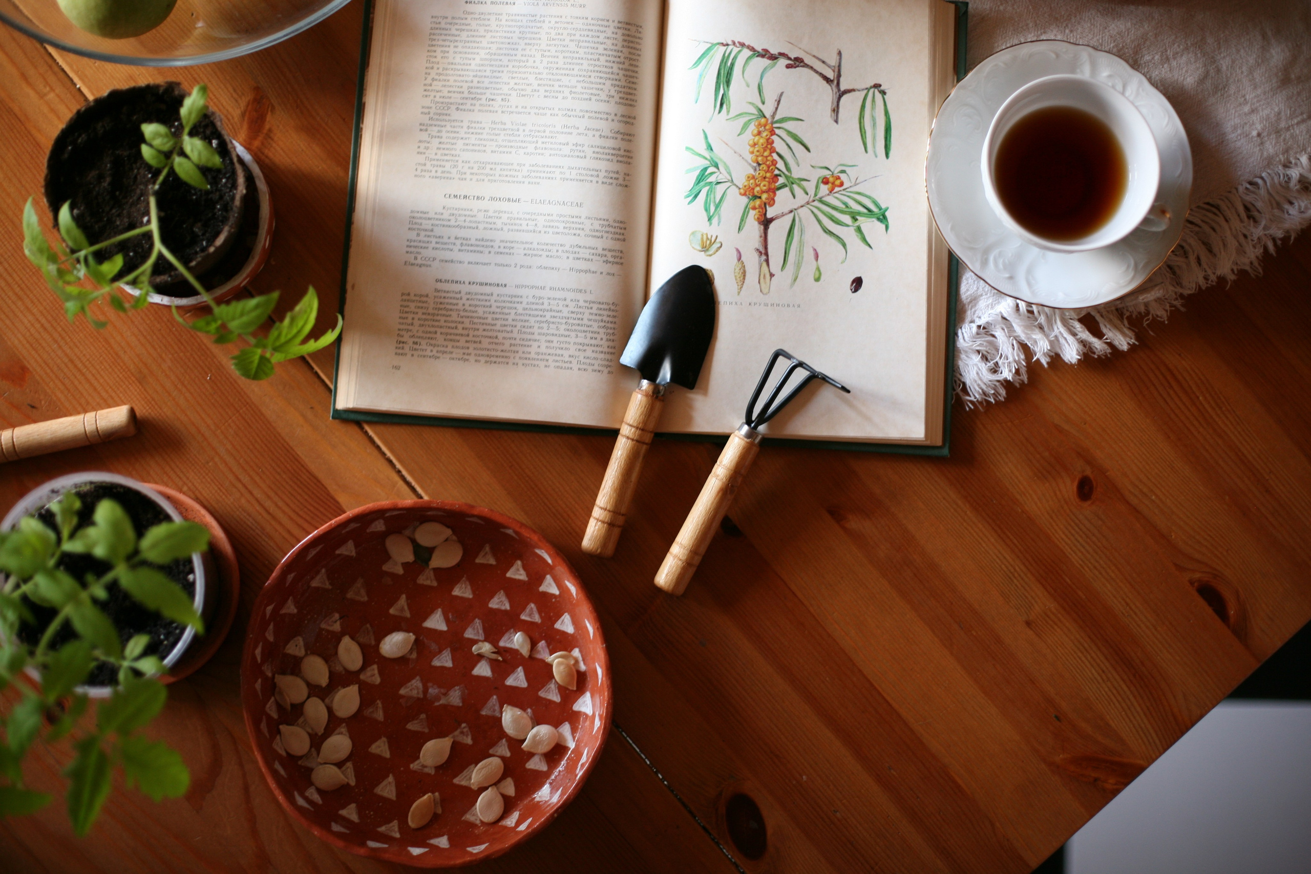 Курс «Психология на грядке». АRТ&PSY | Искусство психологии