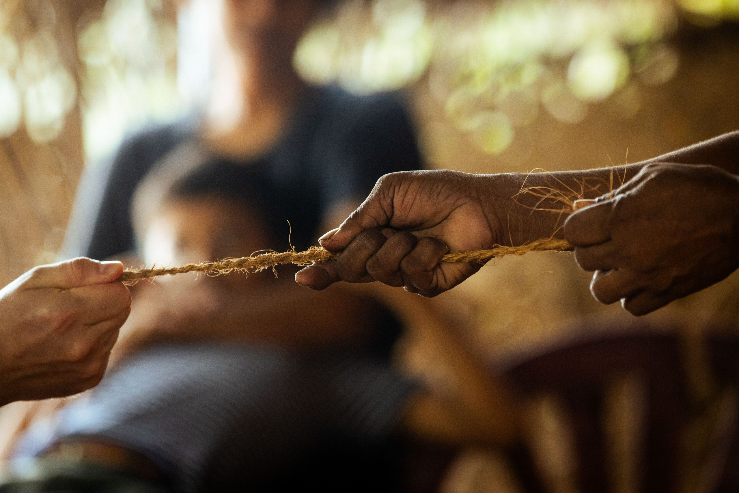 Шри-Ланка (весна 2024). Фотограф Виноградов Константин