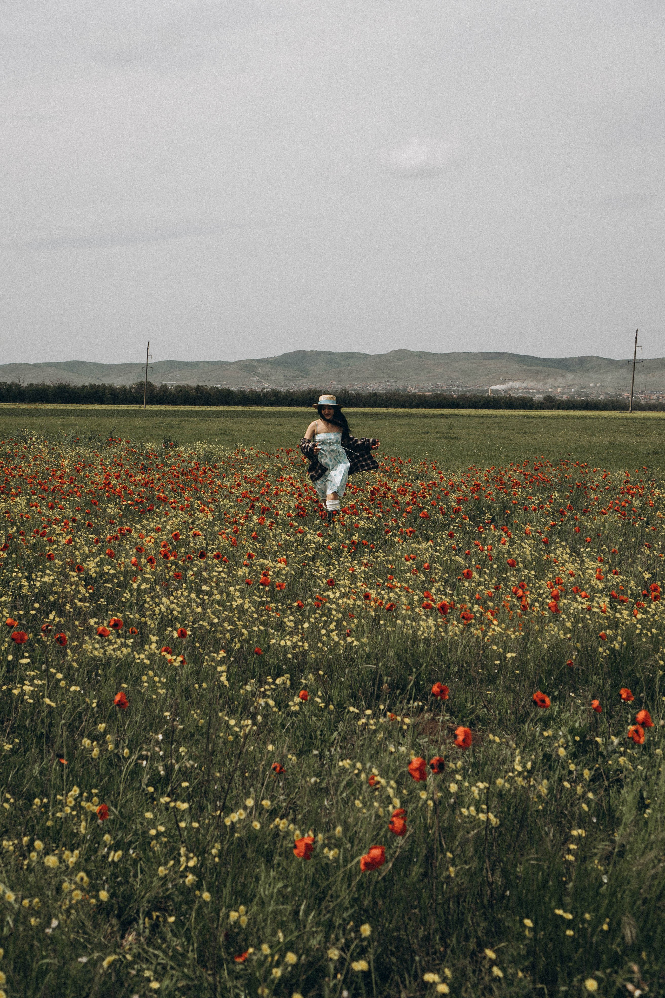 Цветочная поляна. Профессиональный фотограф, Санкт-Петербург — Виктория Богомолова