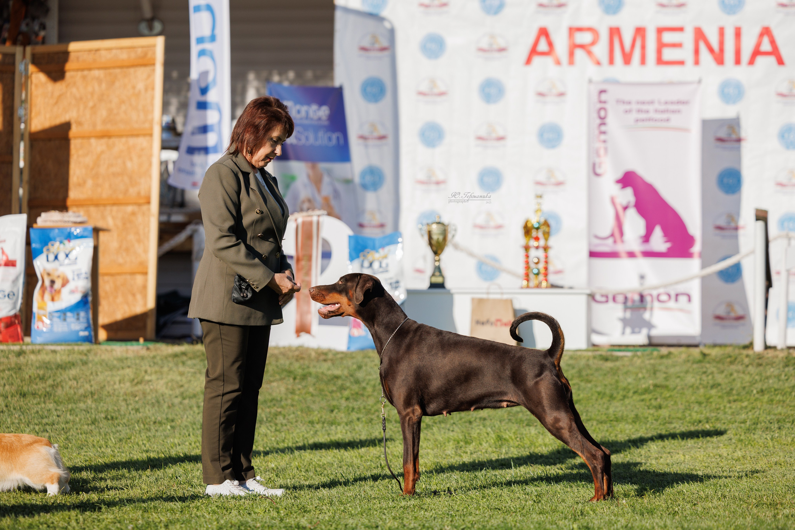 Ереван 14-16.10.2025. Фотограф-анималист Юлия Германика