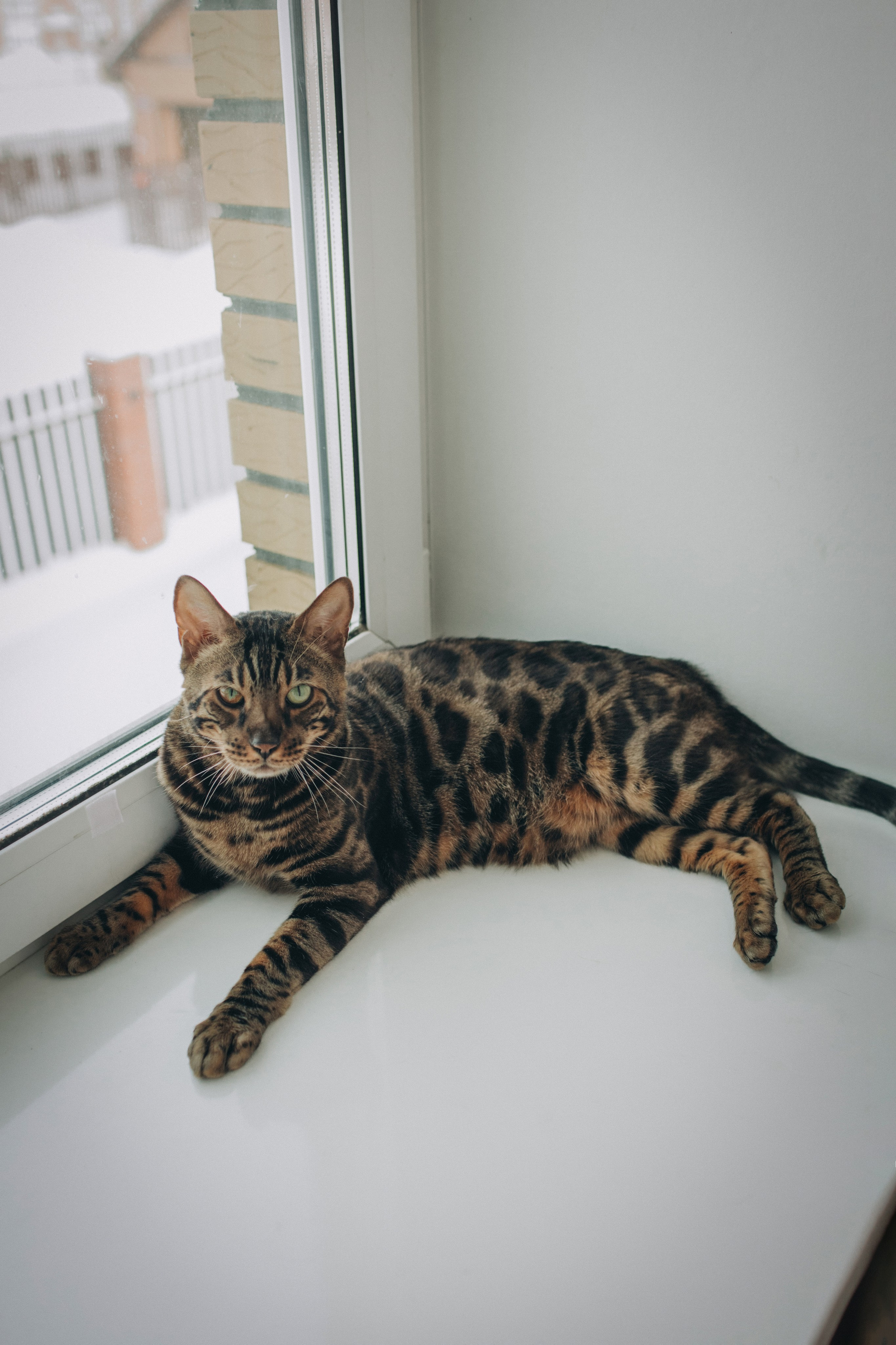 Лев, Мила, Леша. Семейный фотограф Томск