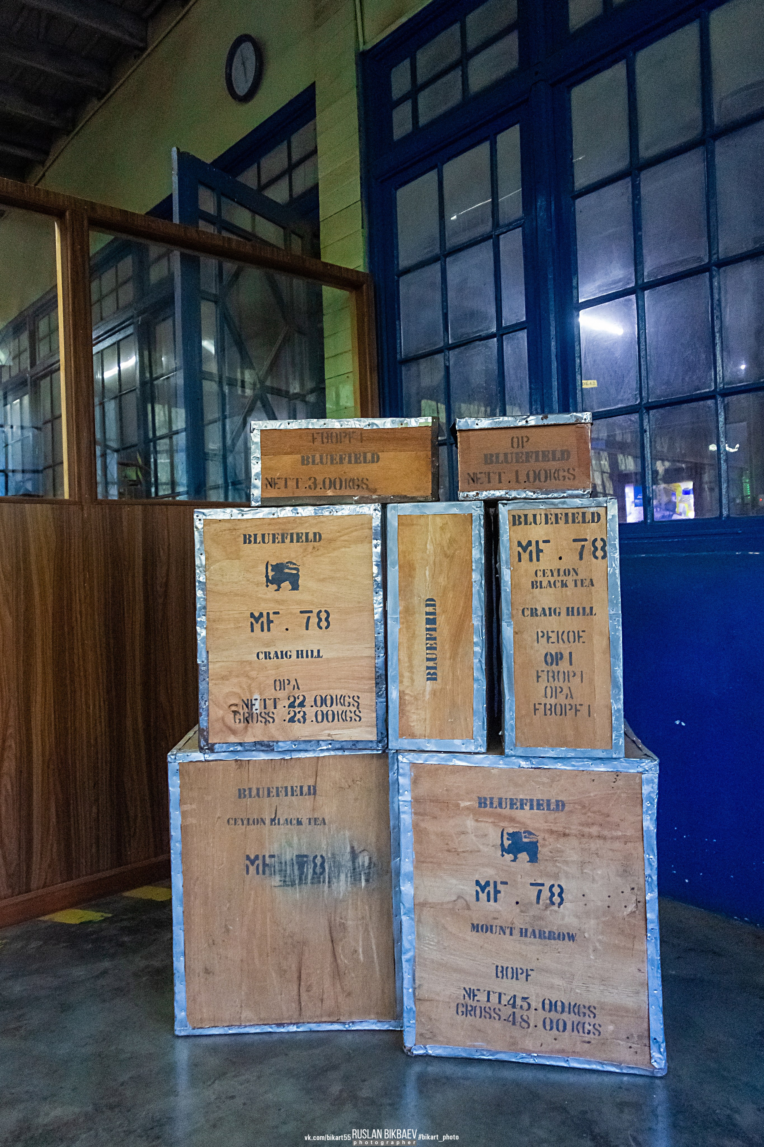 ШРИ-ЛАНКА 2025 / SRI LANKA 2025. Главная