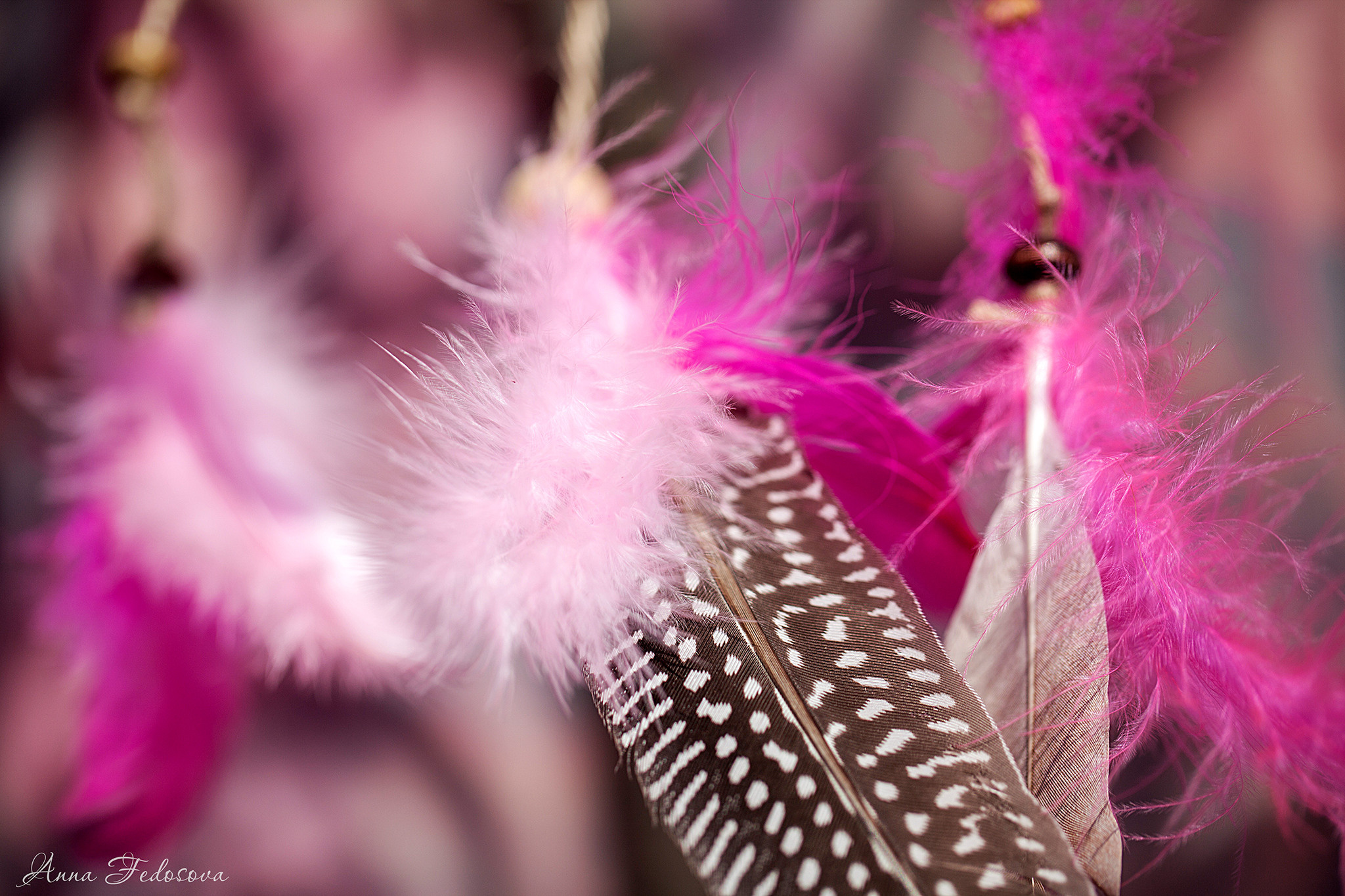 LoveStory в стиле Бохо. Главная