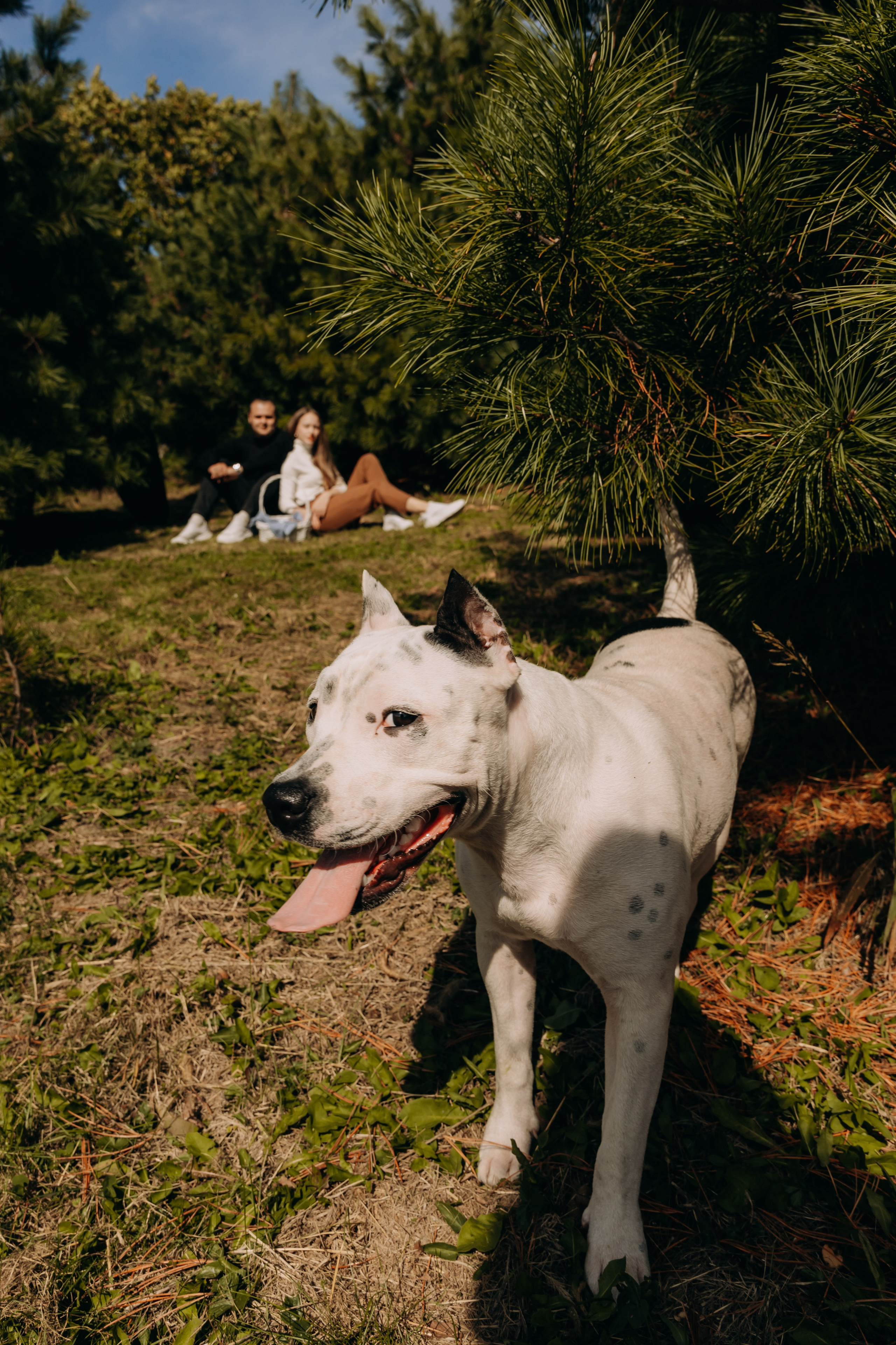 Назар & Дарья. Фотограф во Владивостоке. Юрганова Анна