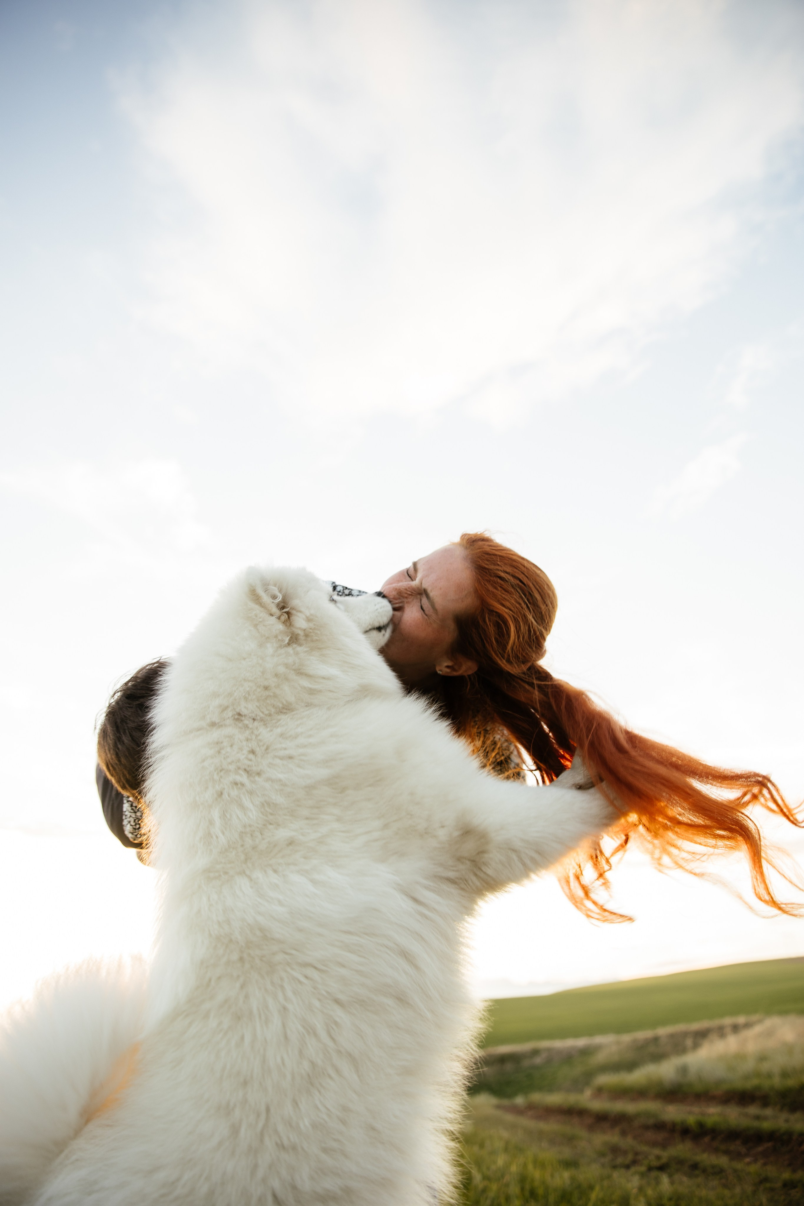 Пушистое облачко. Свадебный и семейный фотограф в Красноярске Сиско Ксения