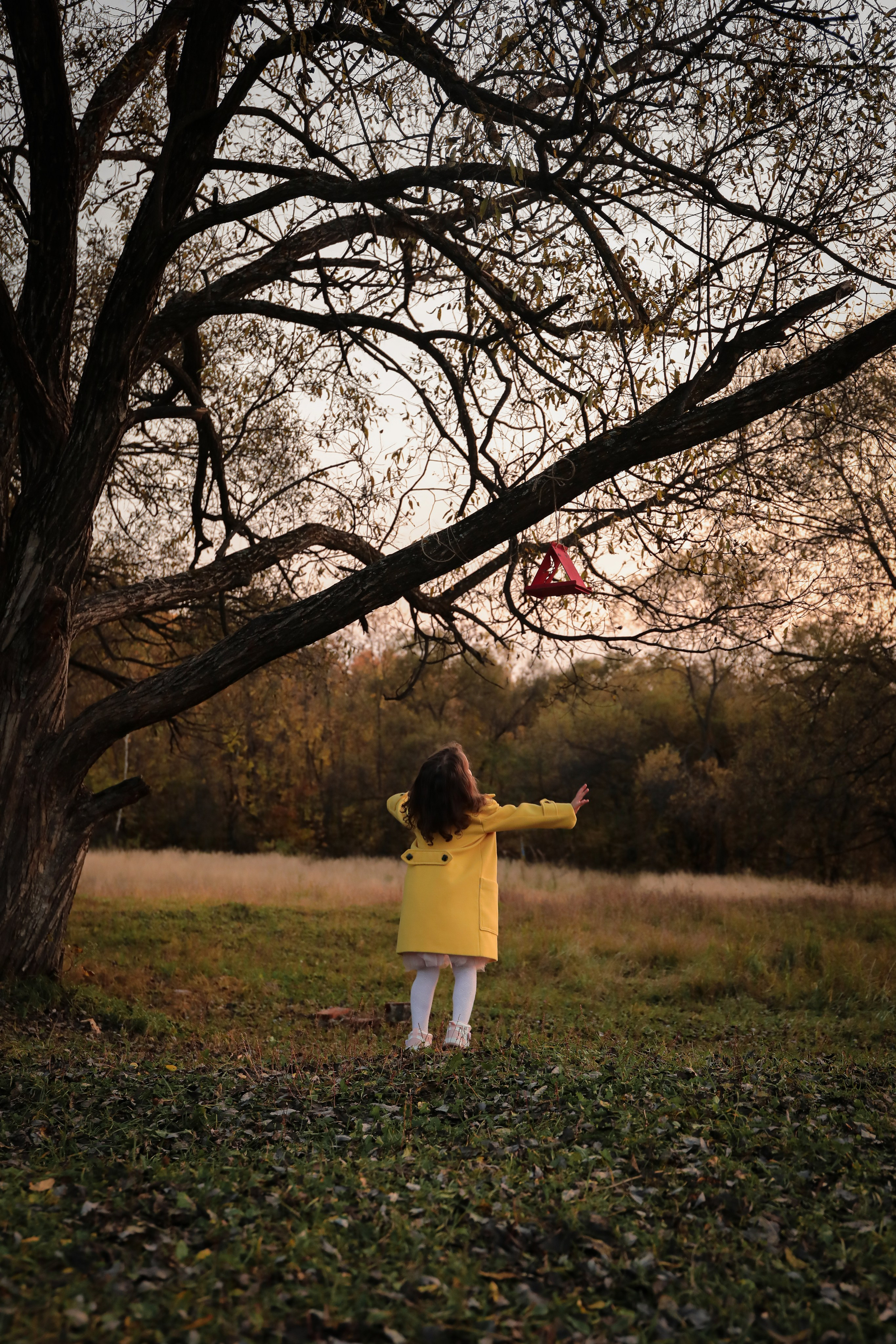 Фотограф г. Хабаровск. Семейные и индивидуальные съёмки