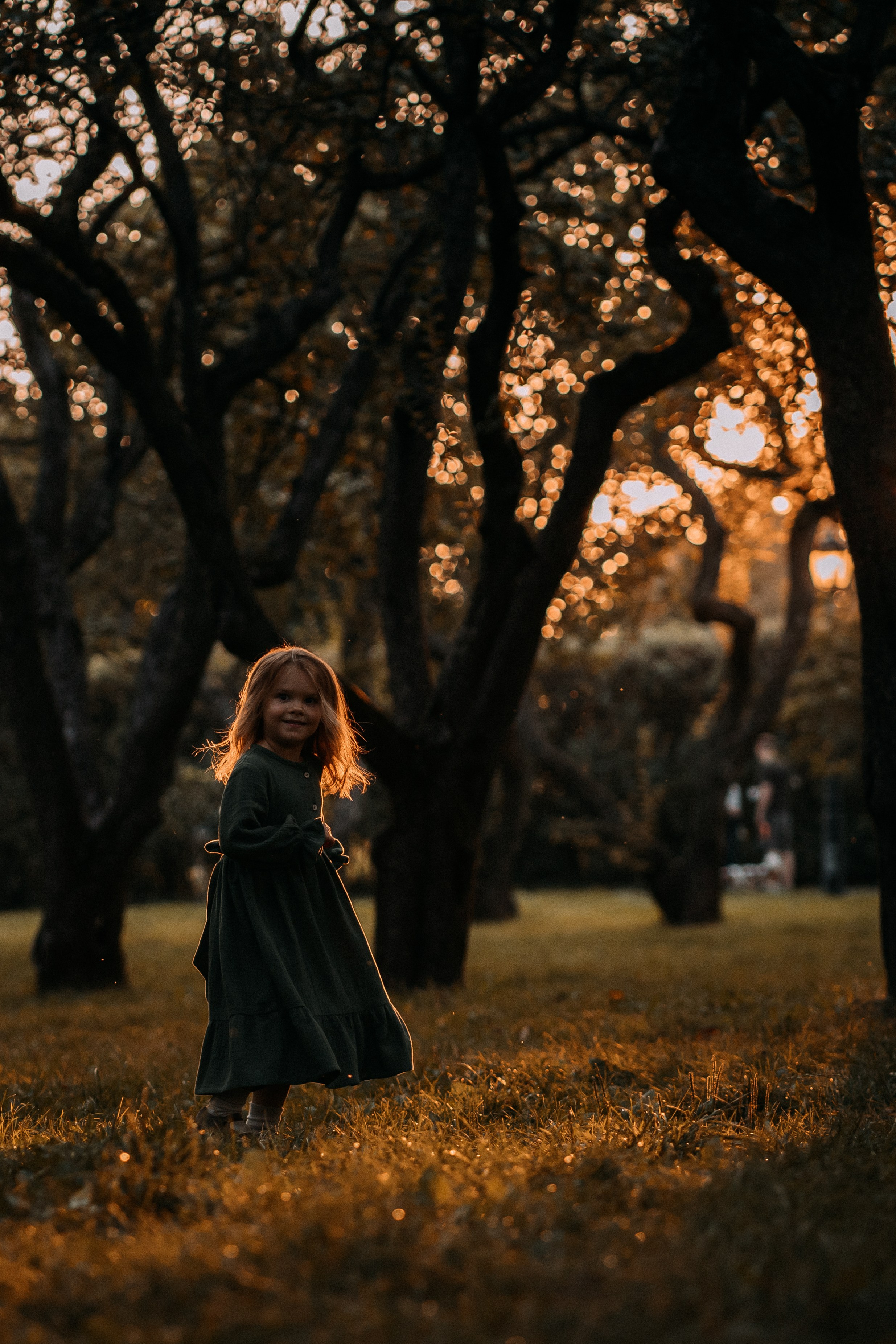 Яблочная радость. Главная