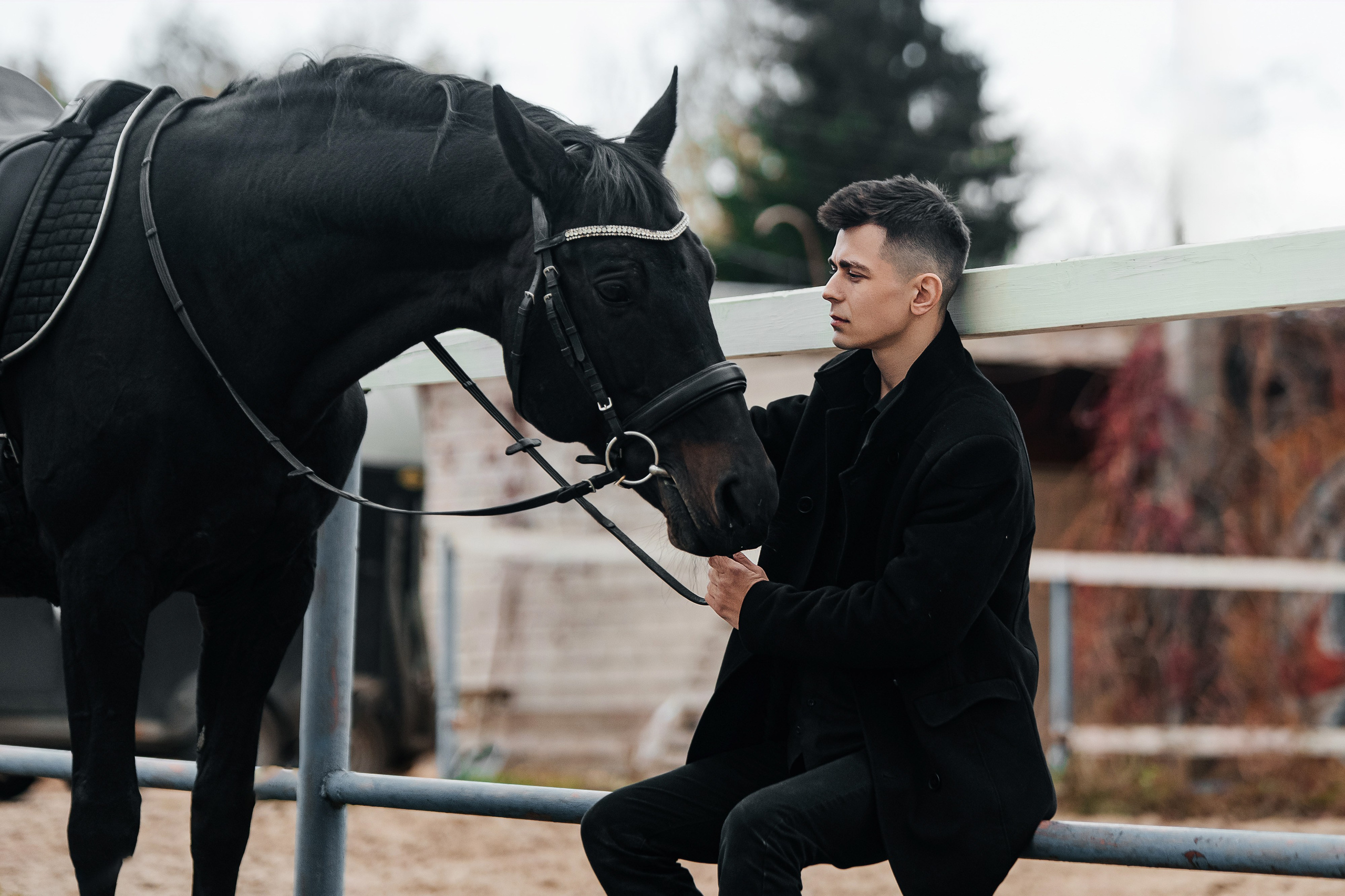 Фотосессии с лошадьми. Фотограф Рязань