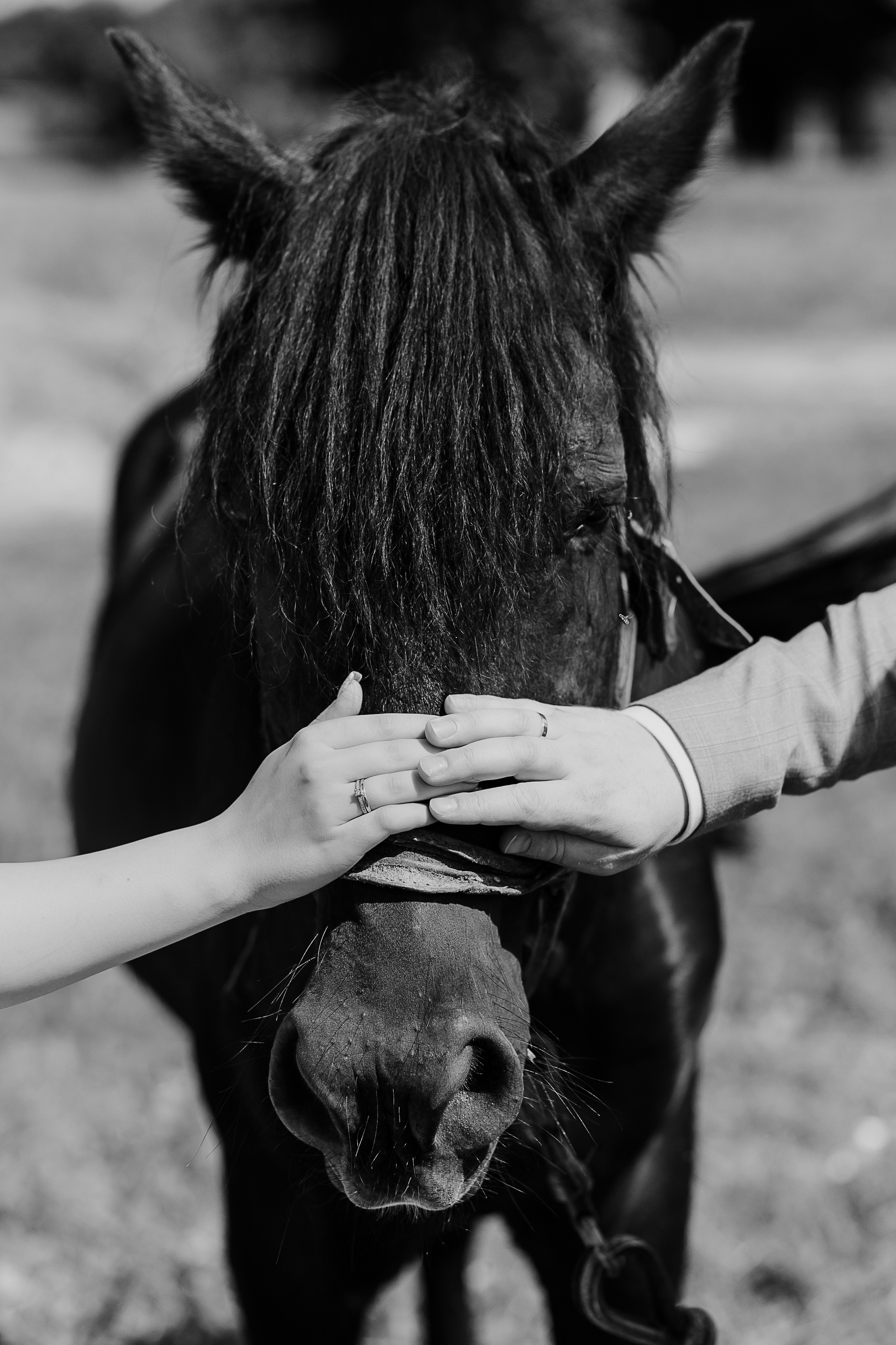 Свадьба Дмитрия и Анны. Свадебный и семейный фотограф в Твери и Тверской области