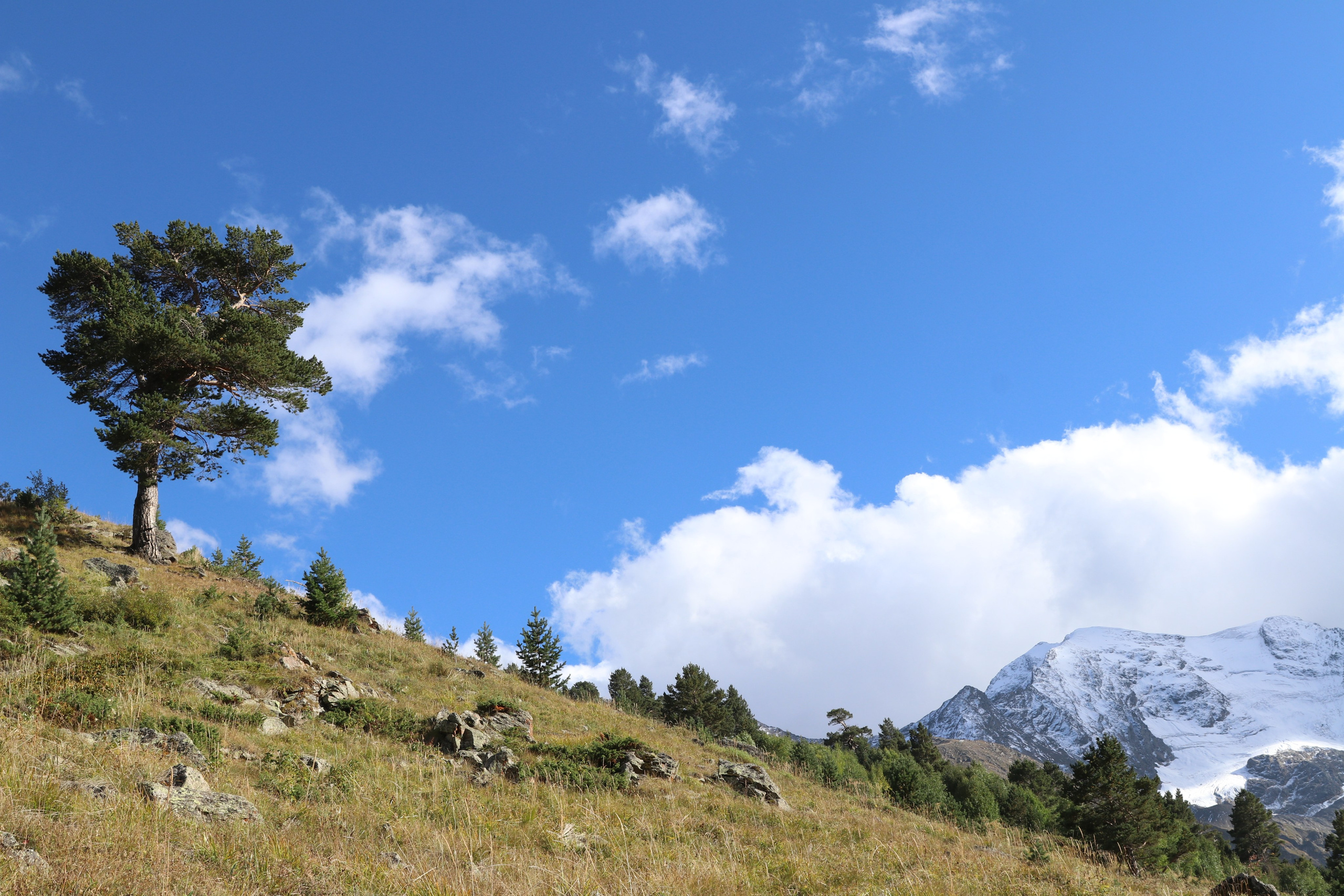 Приэльбрусье. Сентябрь 2023. Путешественник-фотограф из Санкт-Петербурга Татьяна Свистулина