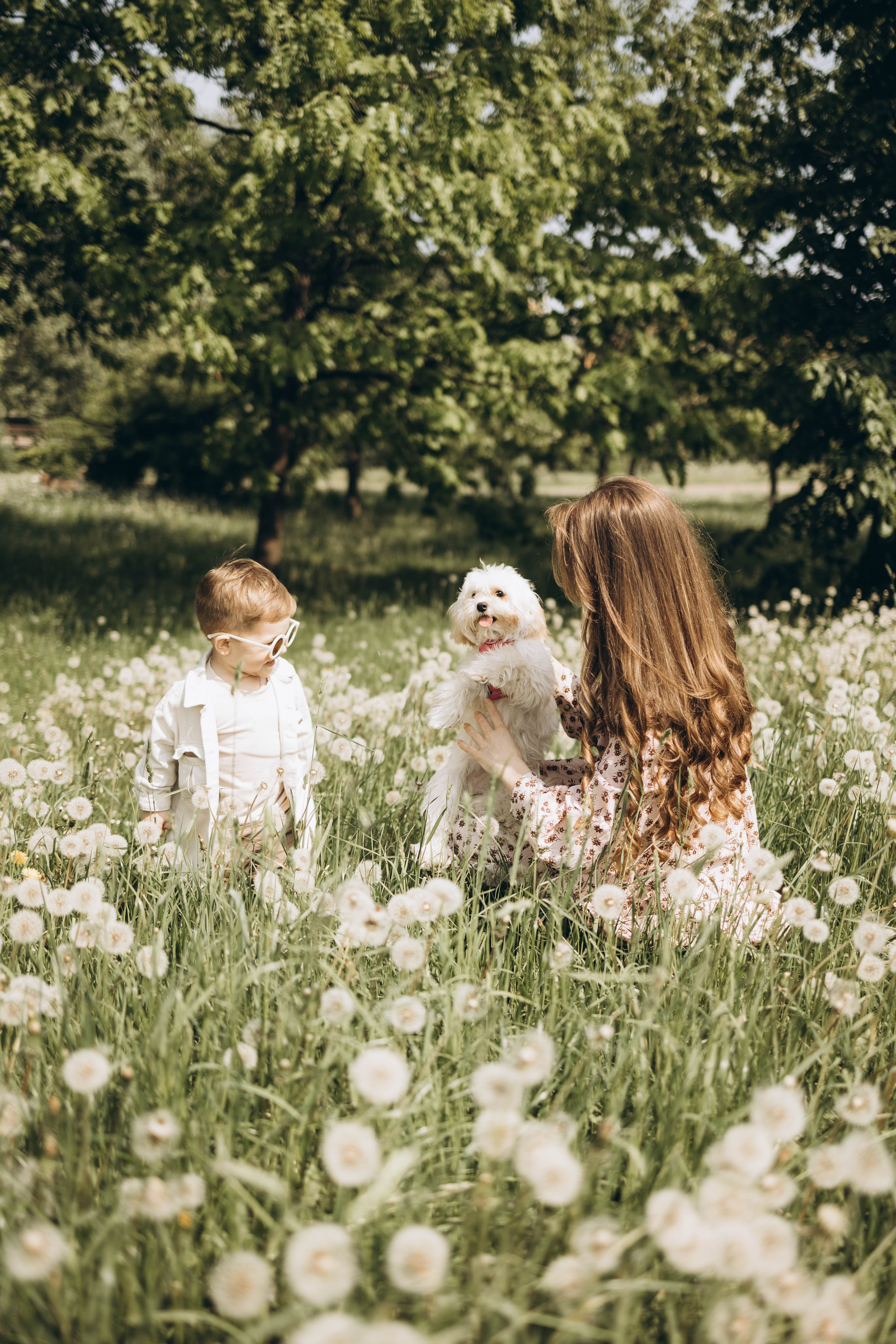 Полина, Дима, Тёма и Мили. Семейный фотограф в Москве Виктория Ястребинская