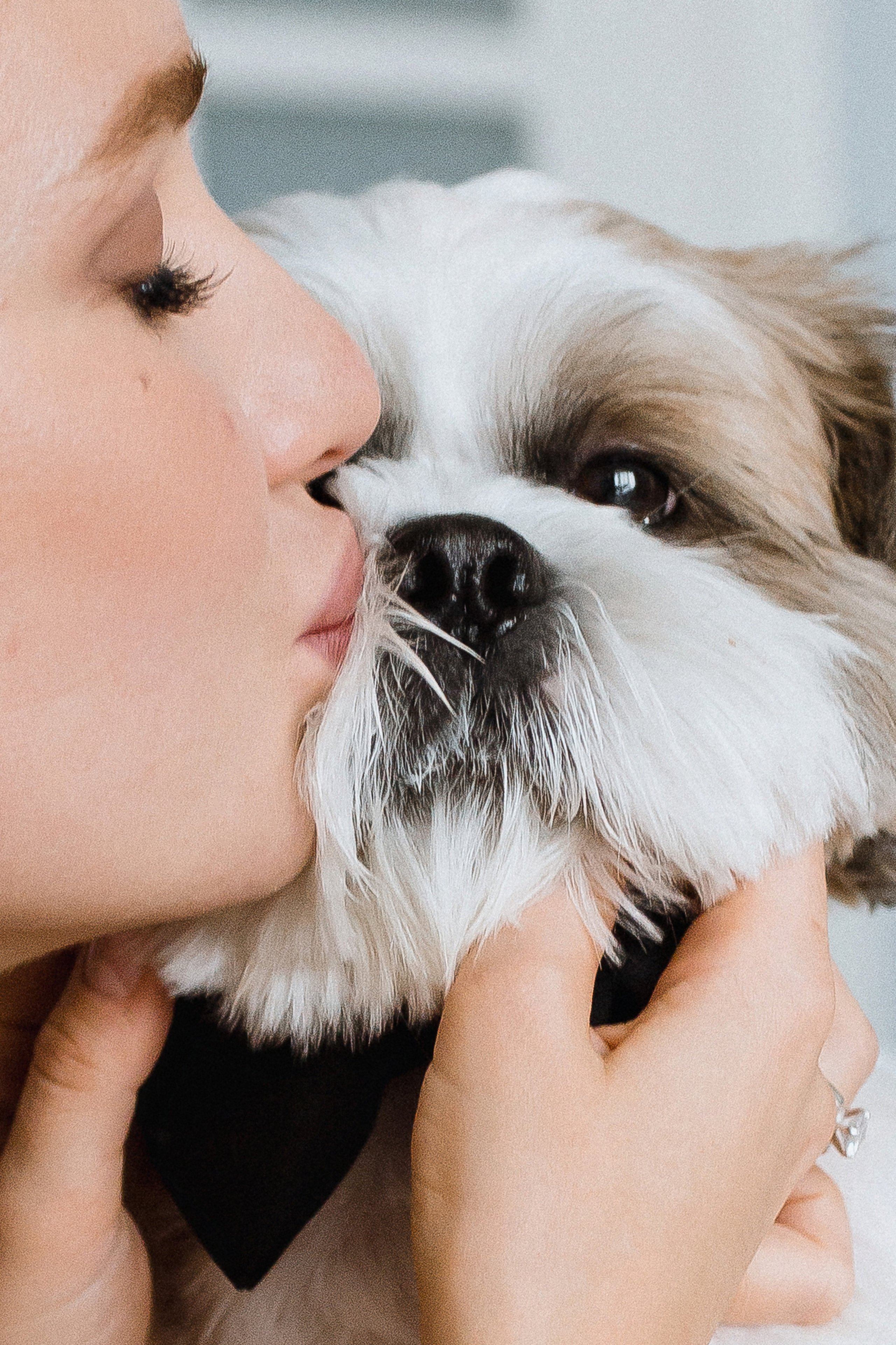 М&K | классическая свадьба. Свадебный и семейный фотограф в Анапе/Новороссийске Виктория Чайка