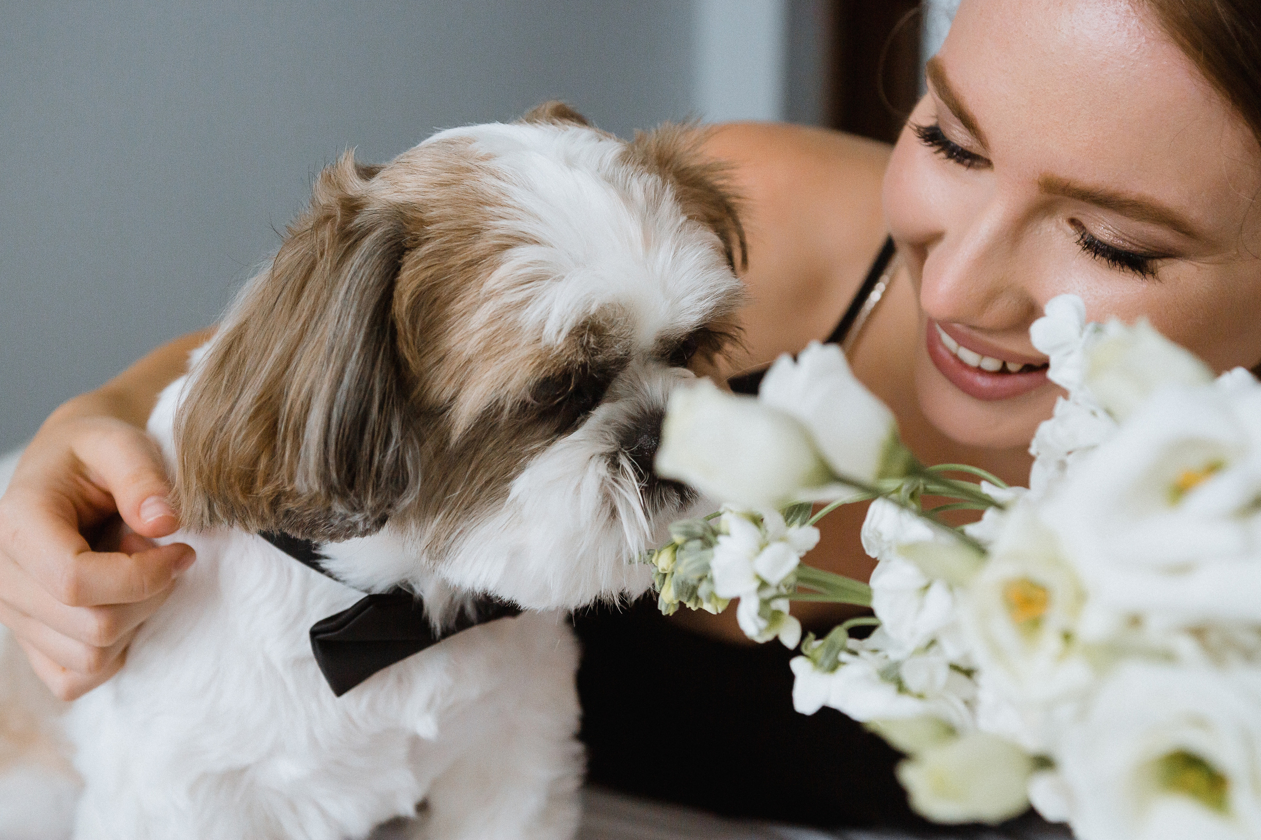 М&K | классическая свадьба. Свадебный и семейный фотограф в Анапе/Новороссийске Виктория Чайка