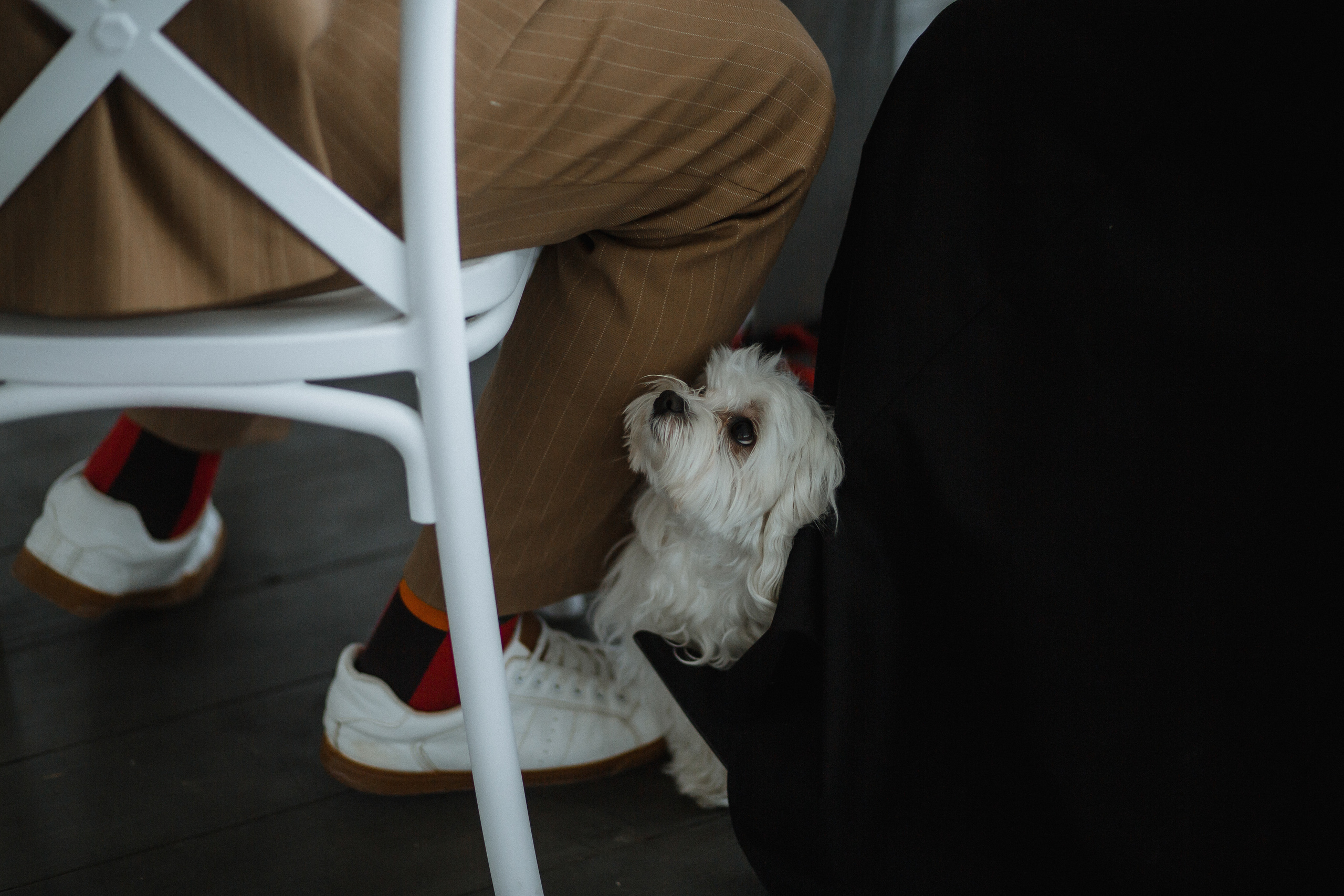SEA time| свадьба с видом на море. Свадебный и семейный фотограф в Анапе/Новороссийске Виктория Чайка