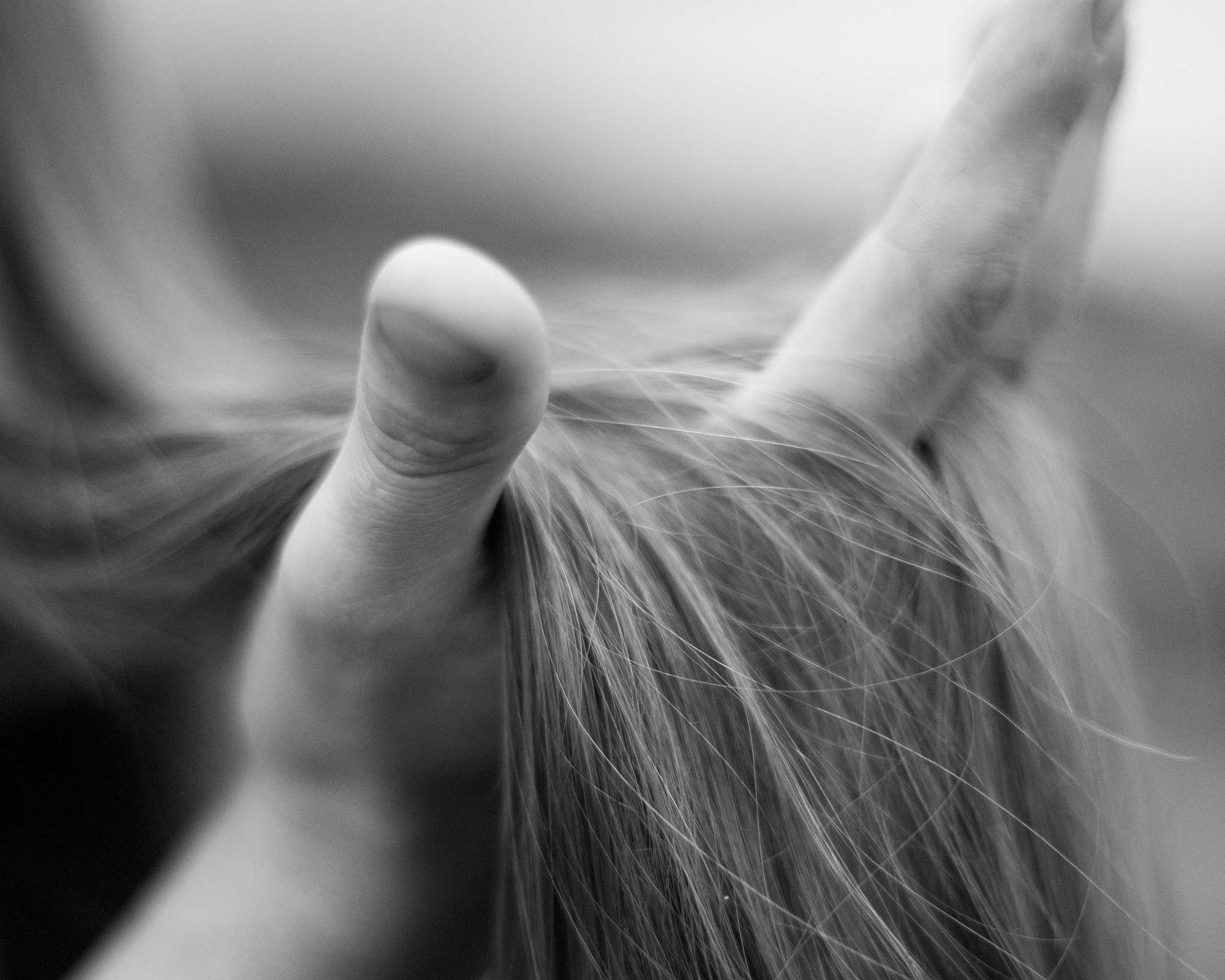 Любовь в полях. Портретный фотограф Белград Матвей Кармаков