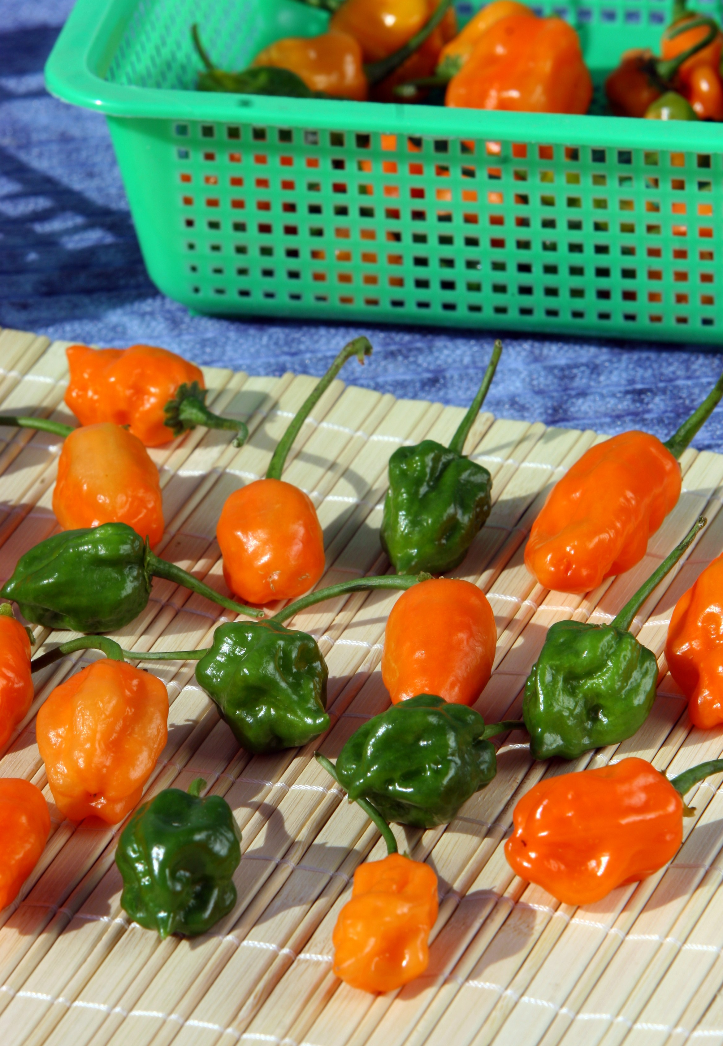 Product photography. The Website of the Photographer Vitaly Deni