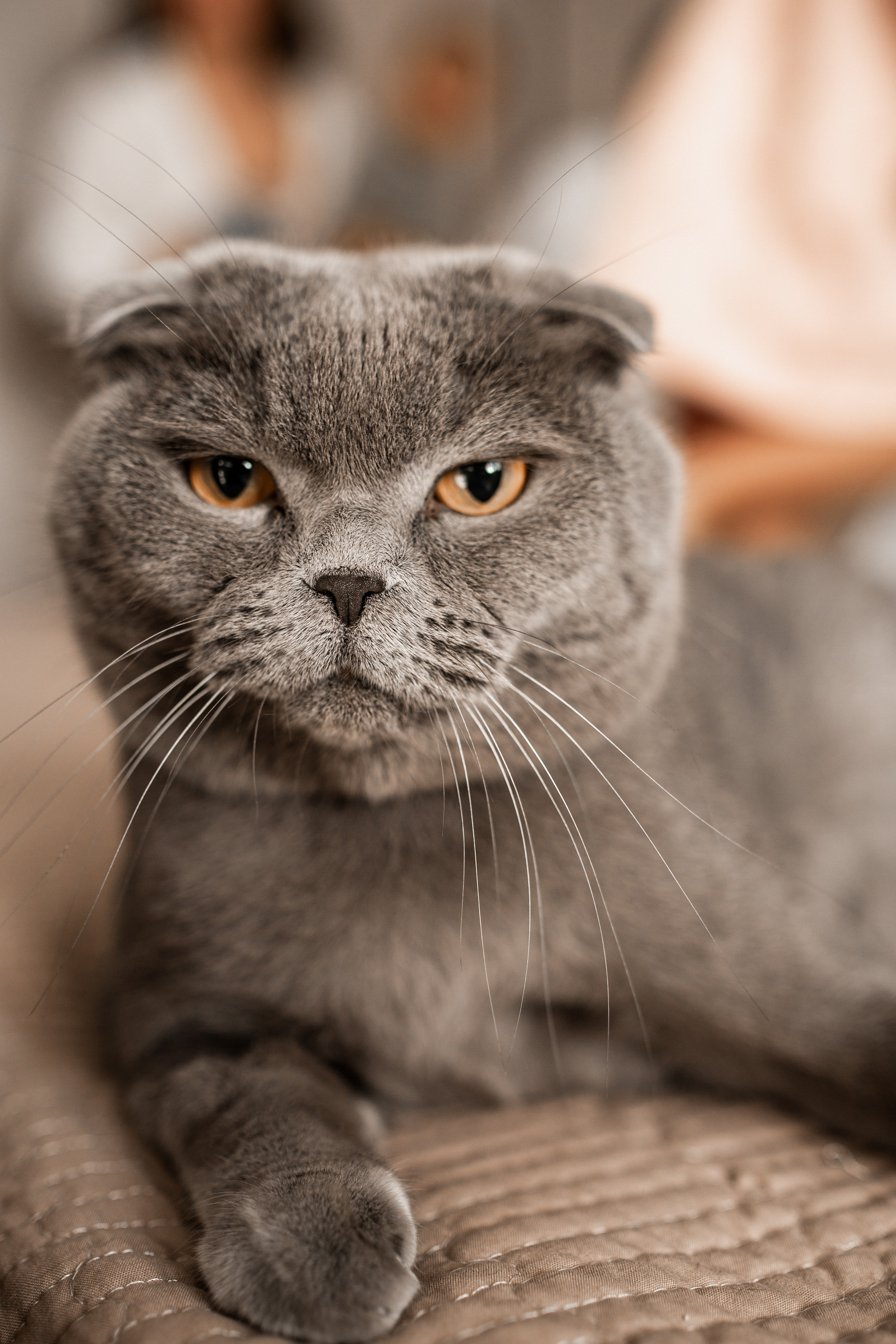 Бесконечная любовь❤️. Фотограф Санкт-Петербург