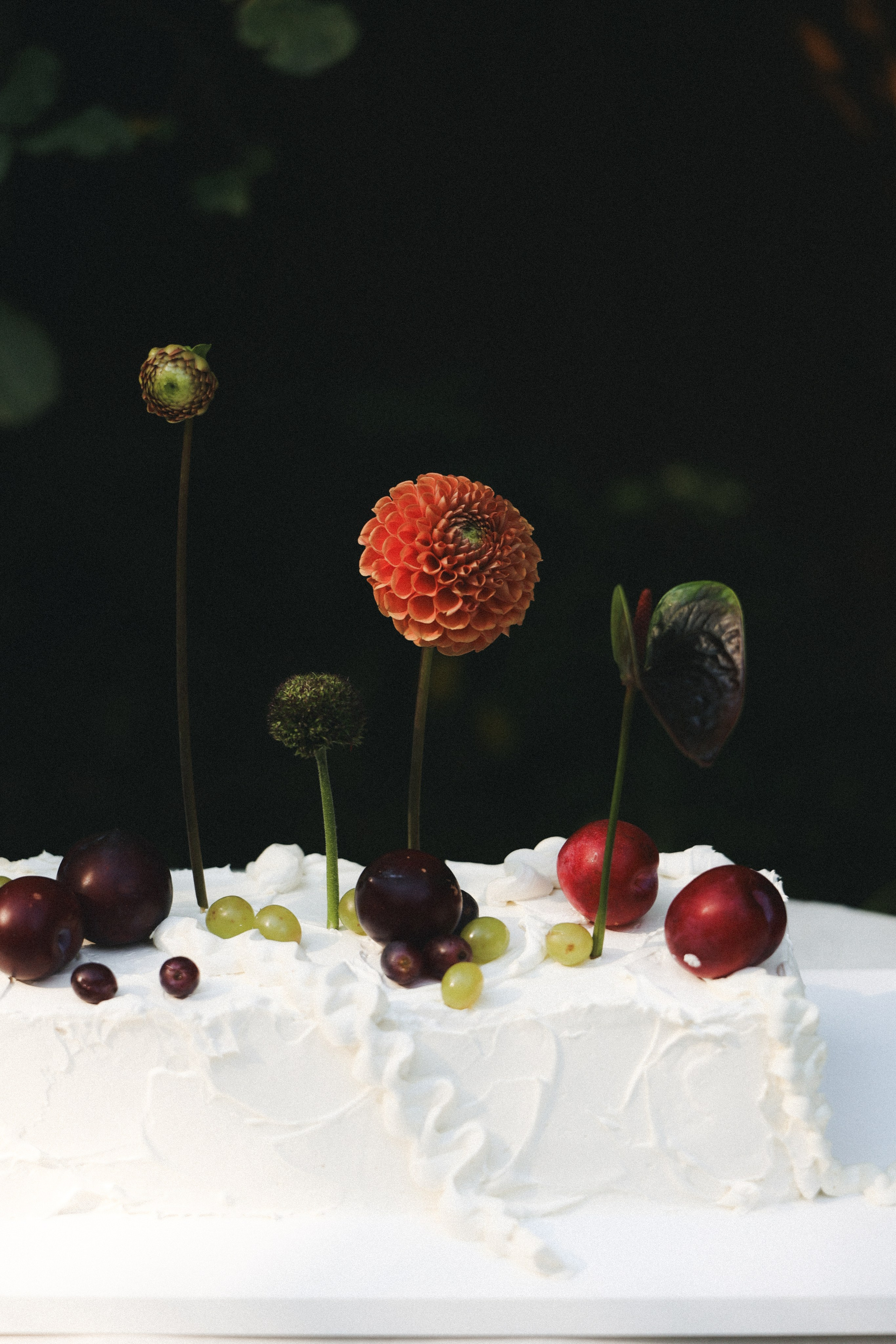Лиза и Миша. Фотограф НатаФото (Наталья Яковенко) Дмитров Москва Питер