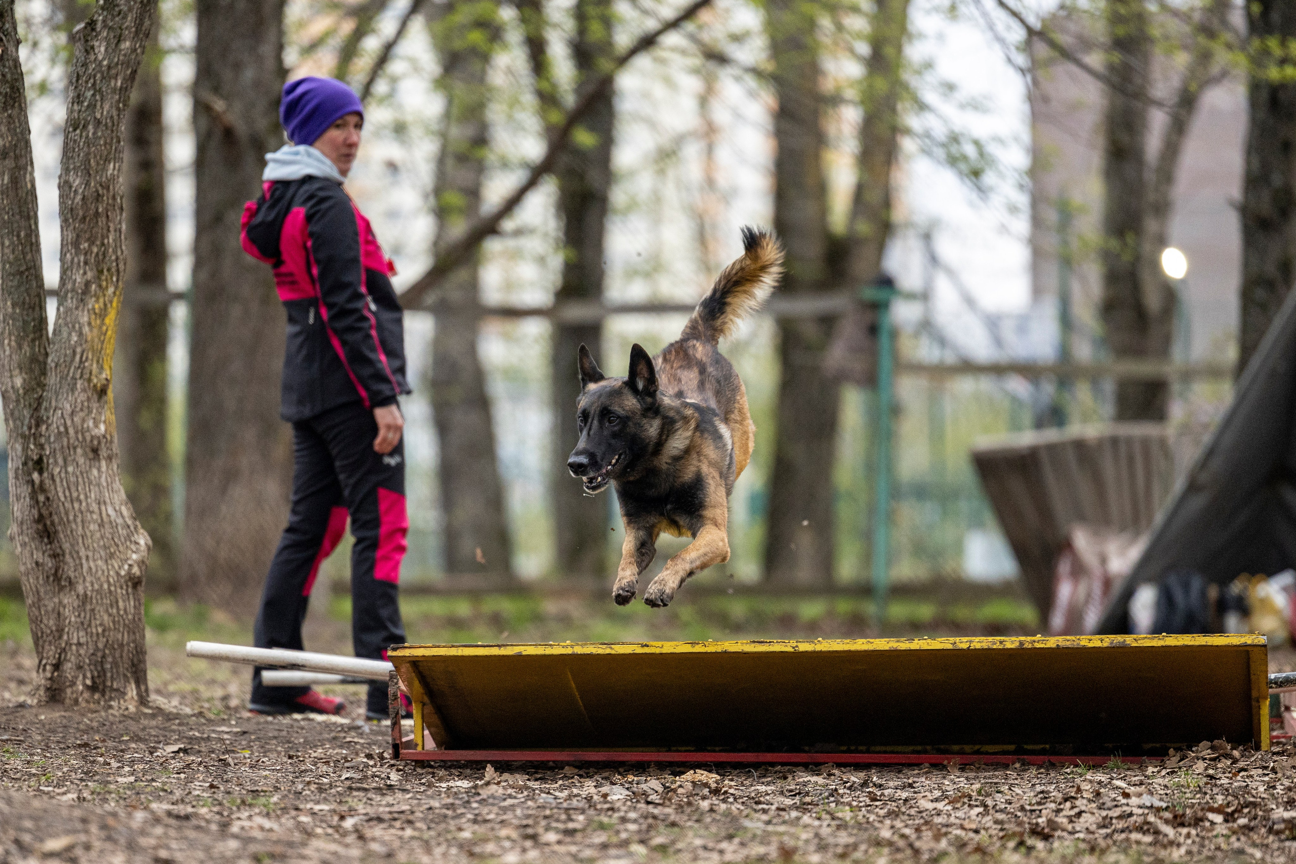 Квалификационные состязания по мондьорингу г. Вологда 11.05.24. Фотограф-анималист Анна Маринич