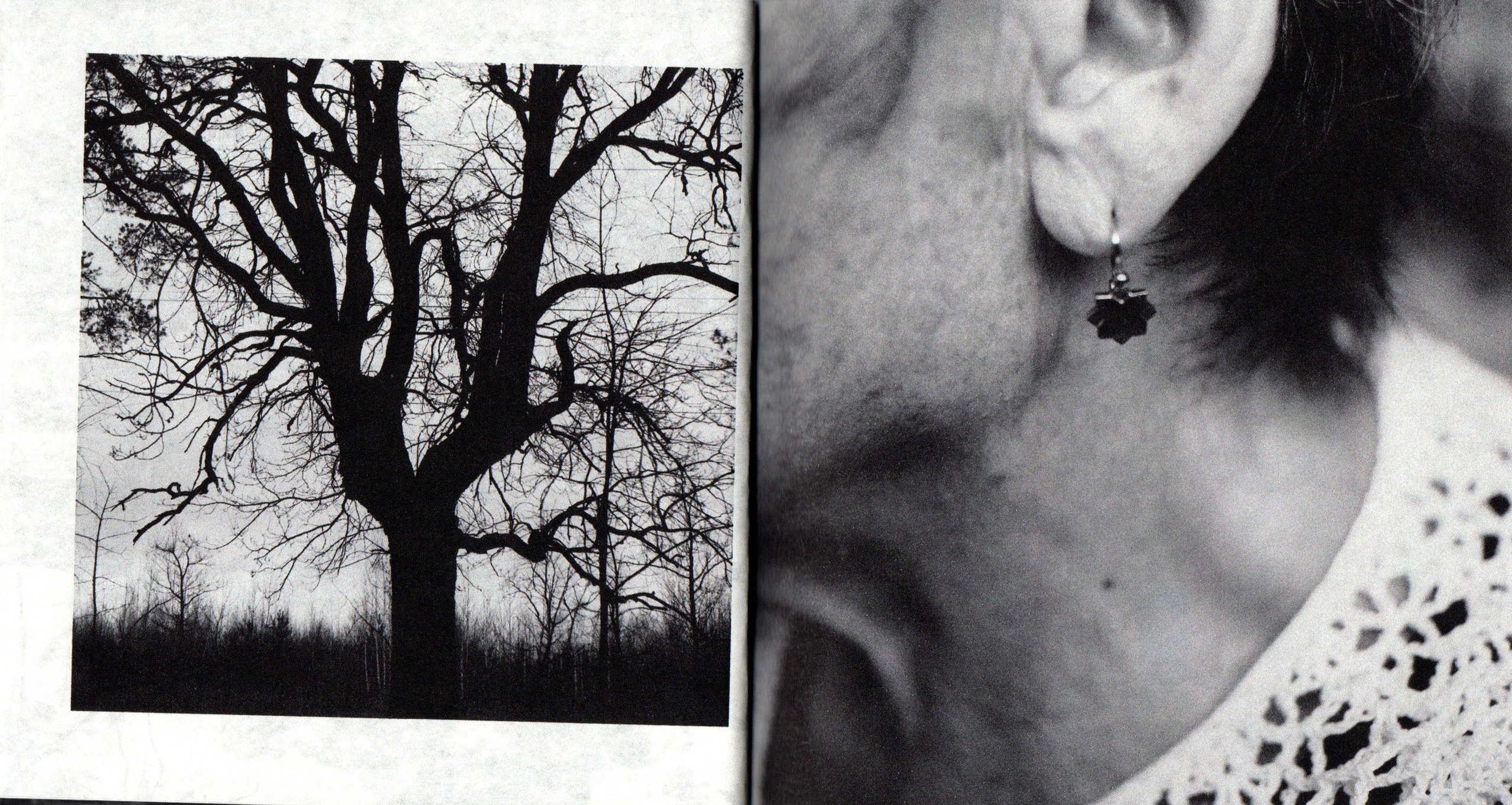 Деревья, которые дают сил. Фотограф Анна Кирнос