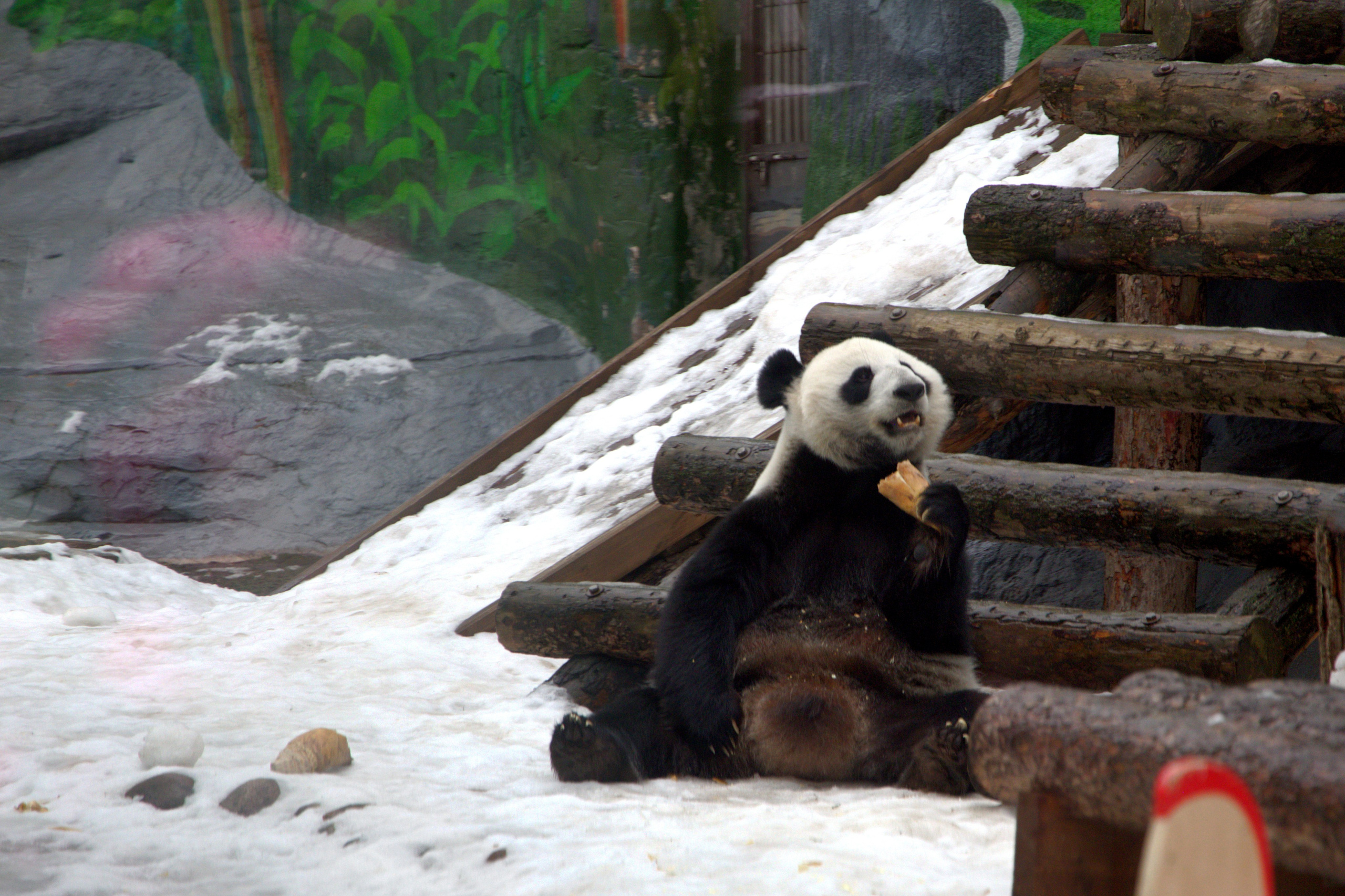ЗООПАРК. ФОТОГРАФ В МОСКВЕ СТАНИСЛАВ КОБЗЕВ