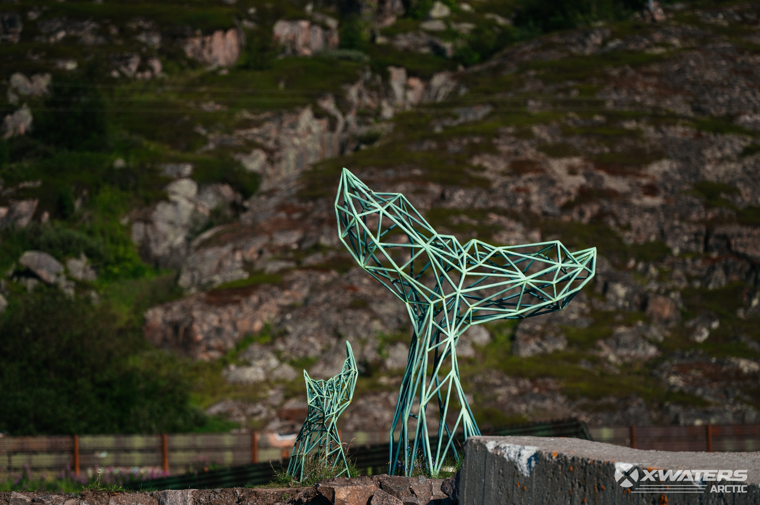 X-WATERS Arctic. Фотограф Москва