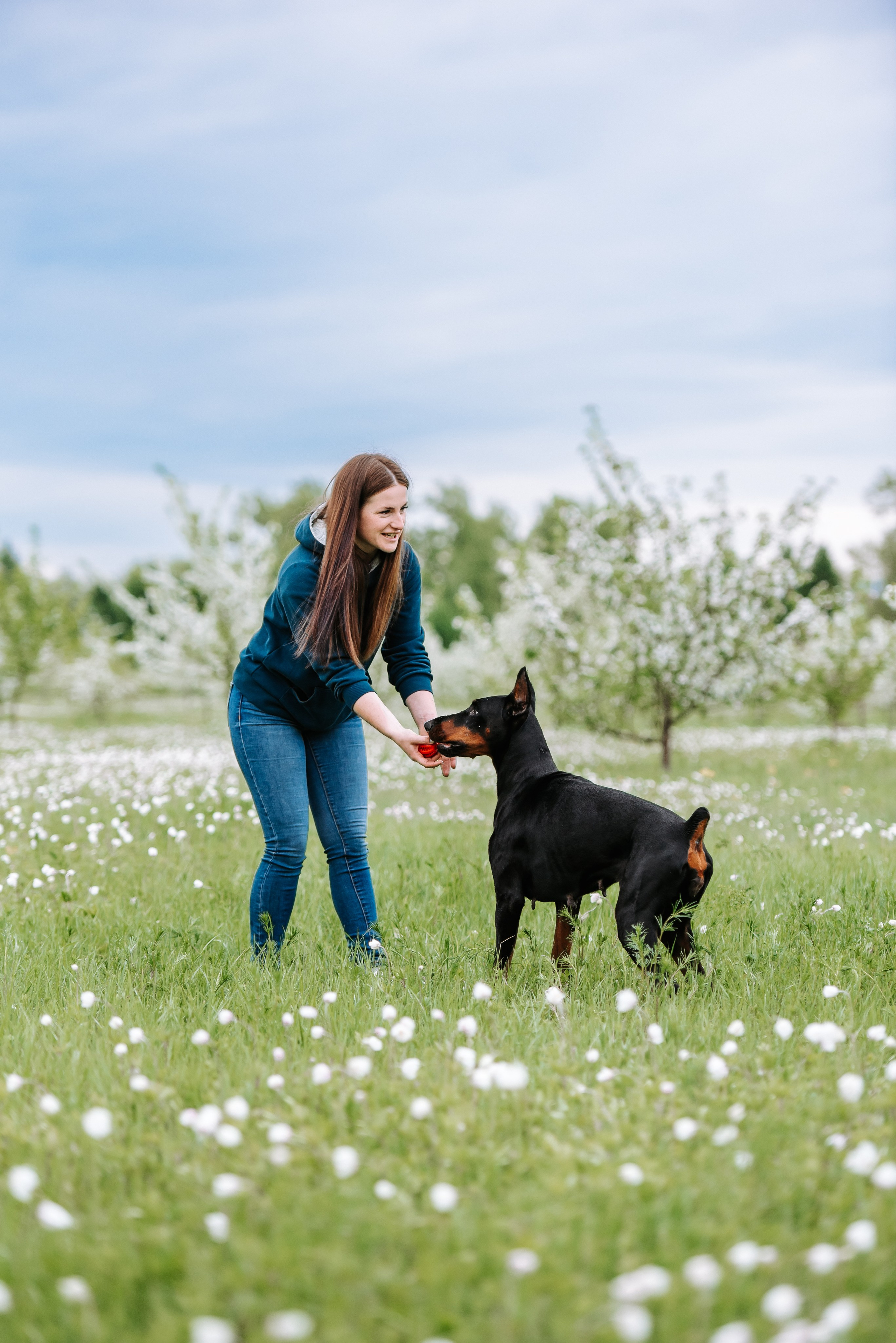 Цветение с доберманами. Фотограф Диана Оленина Красноярск / Братск