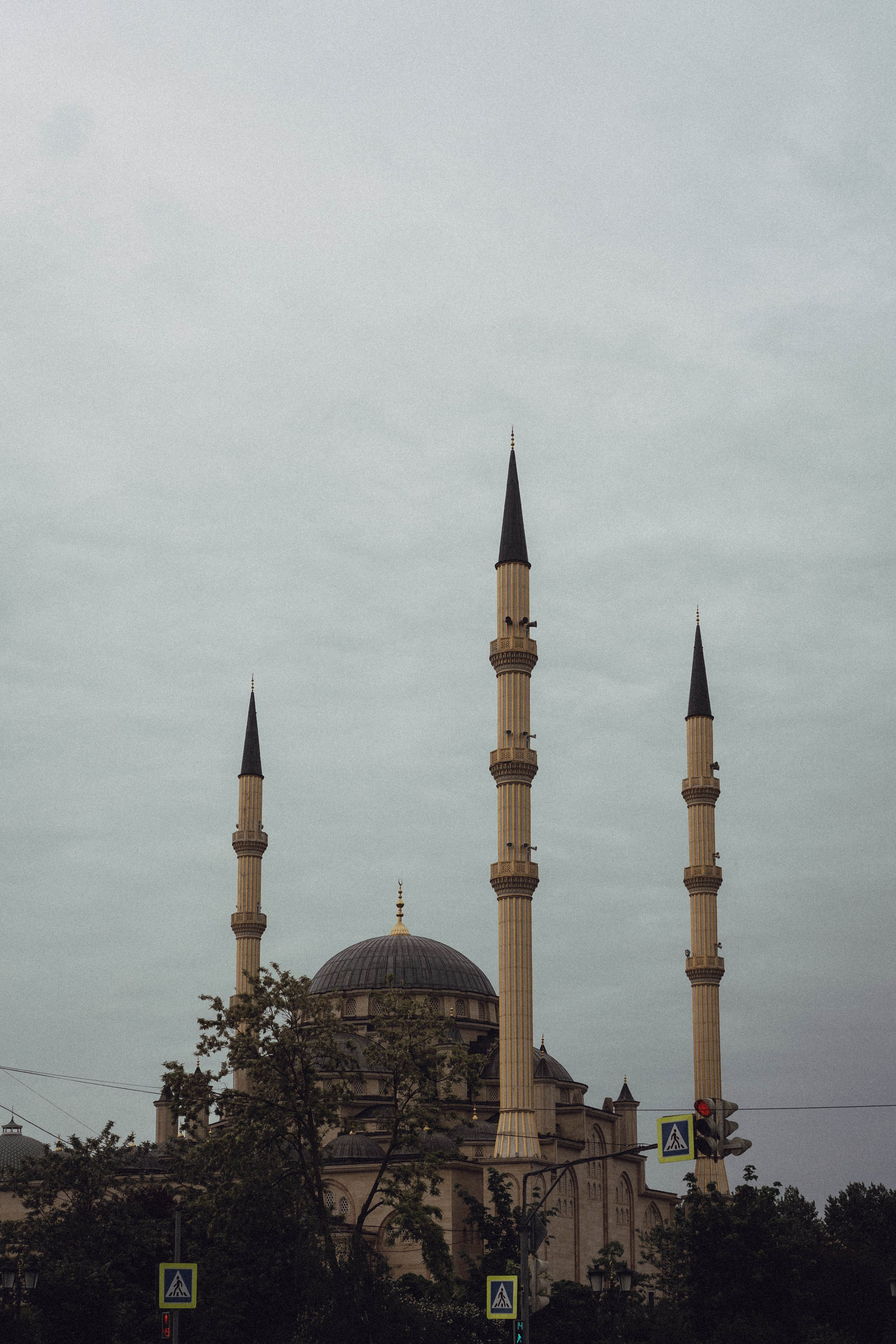 Кавказ. Профессиональный фотограф, Санкт-Петербург — Виктория Богомолова