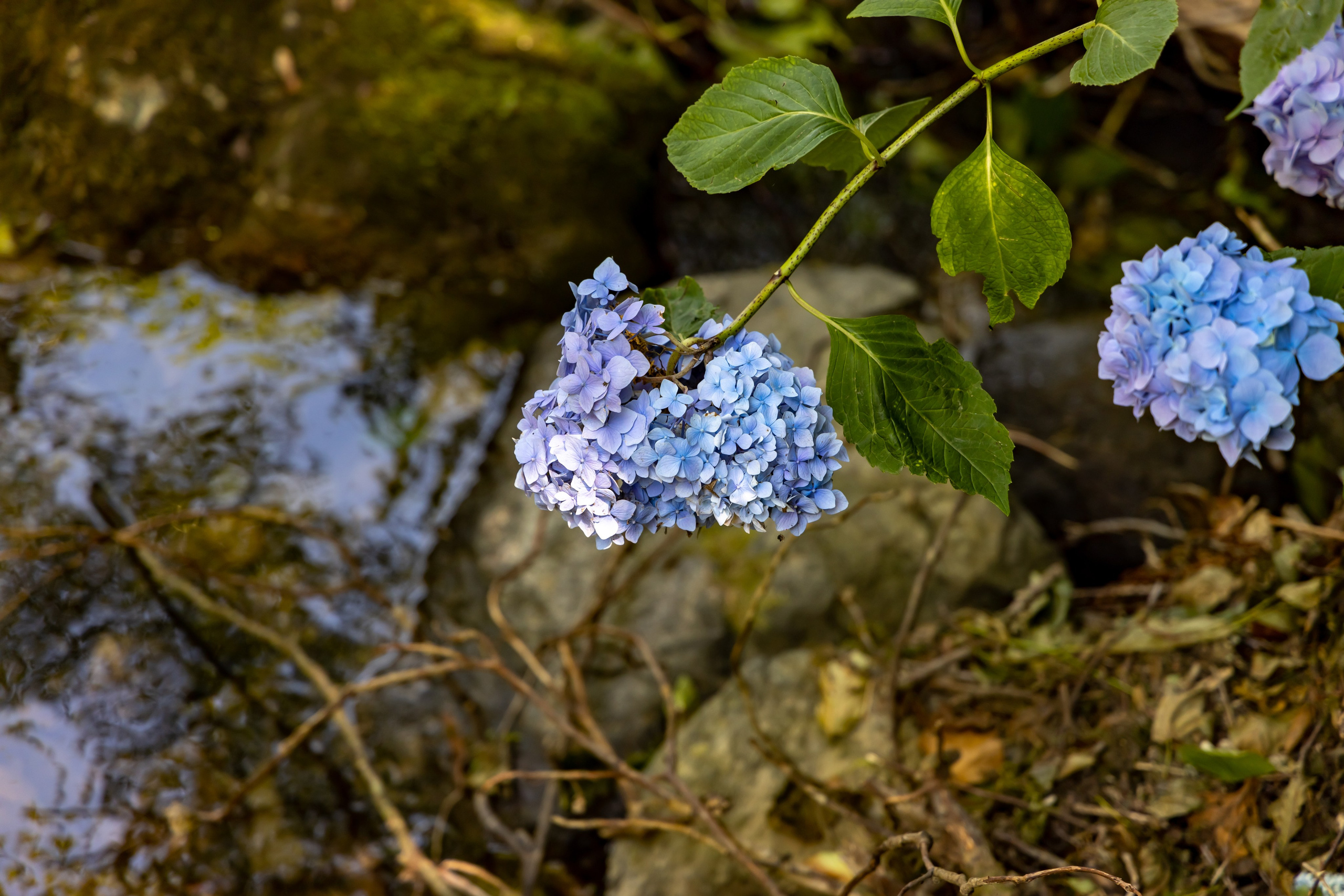 Сочи. Солох Аул. Репортажный, семейный и студийный фотограф в Москве Демин Алексей