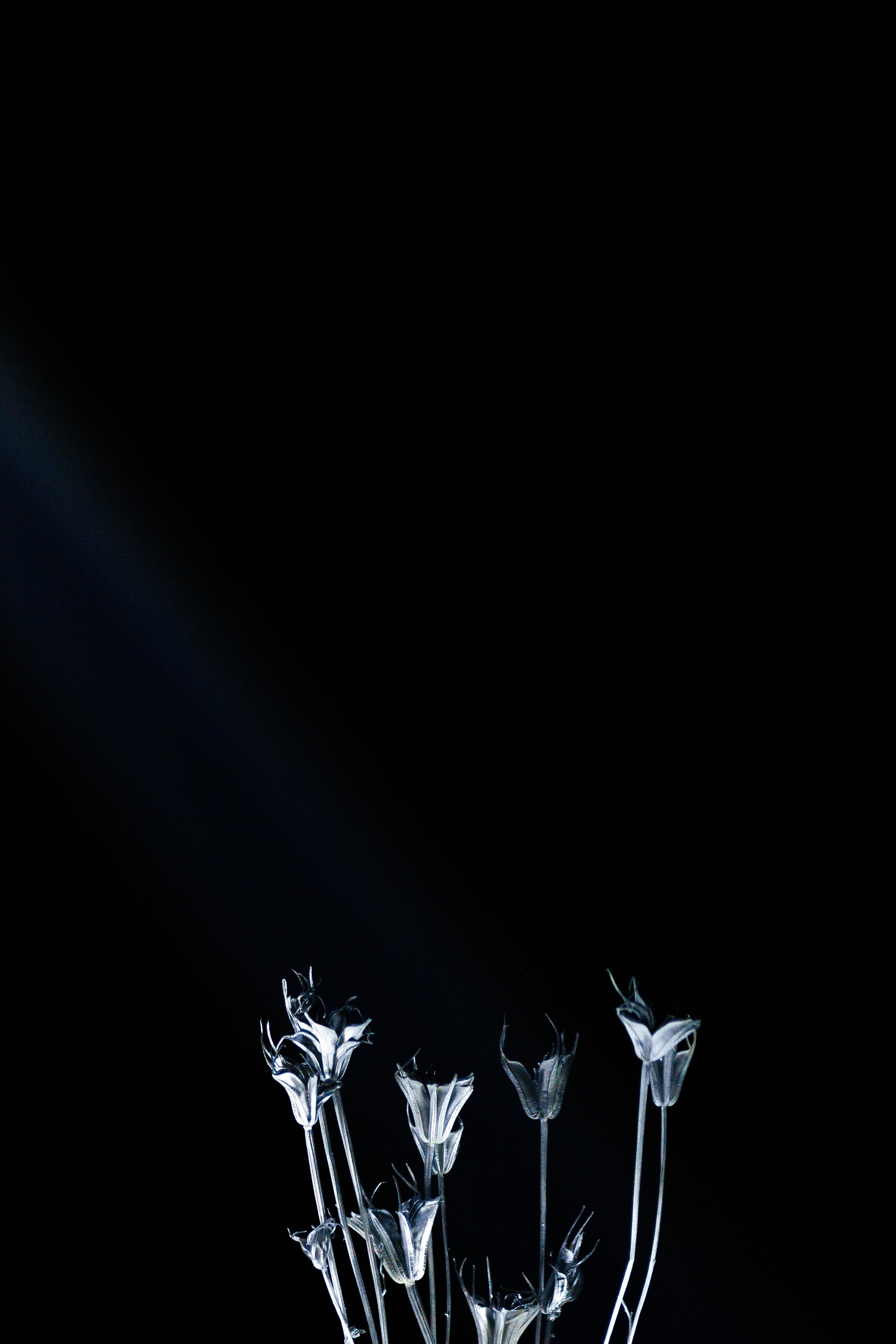 Артем & Мария. Свадебный фотограф Ростов на Дону / Таганрог — Усачева Анастасия