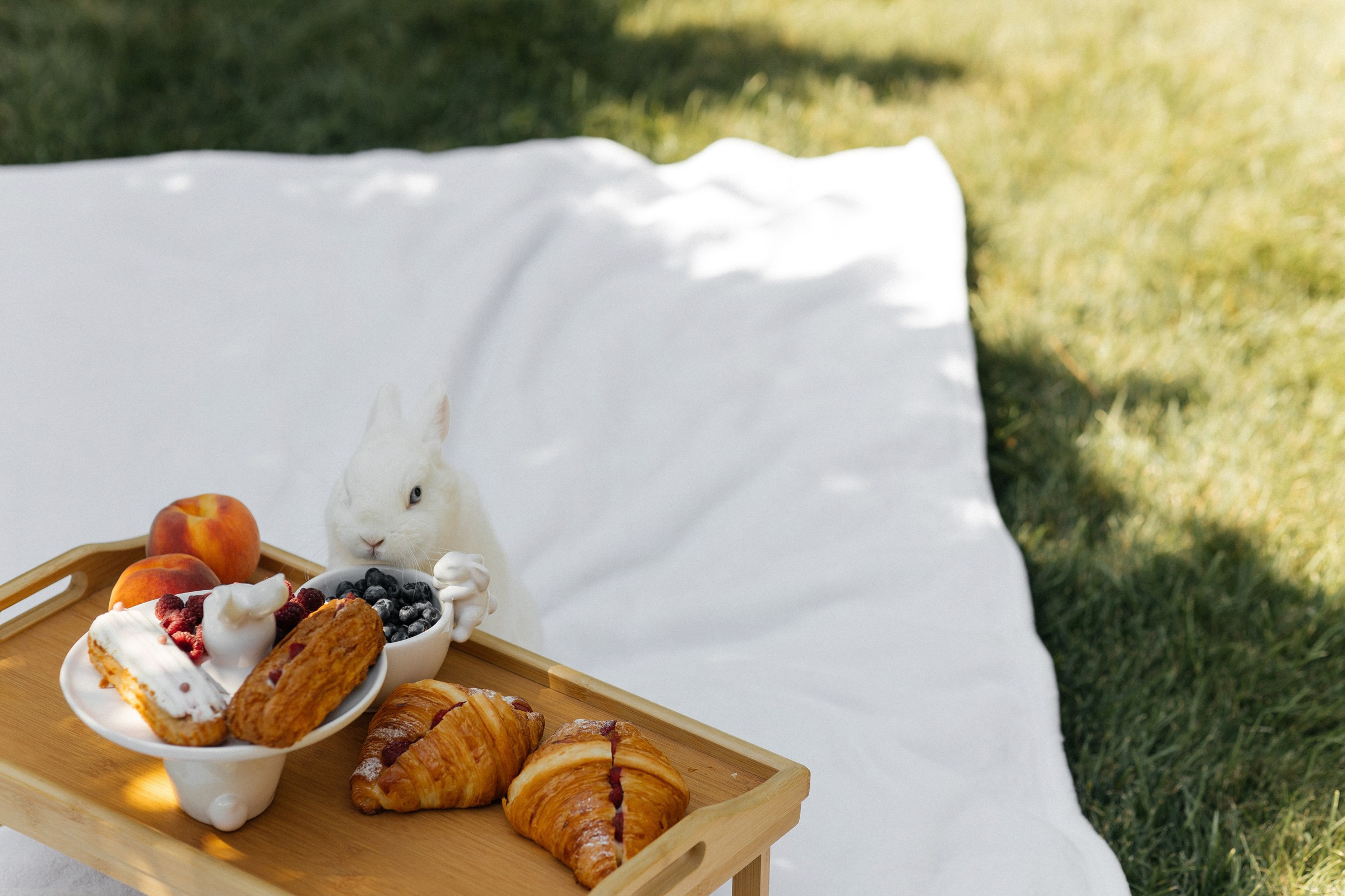 Александр и Яна (31.08.23). Свадебный фотограф в Ростове-на-Дону