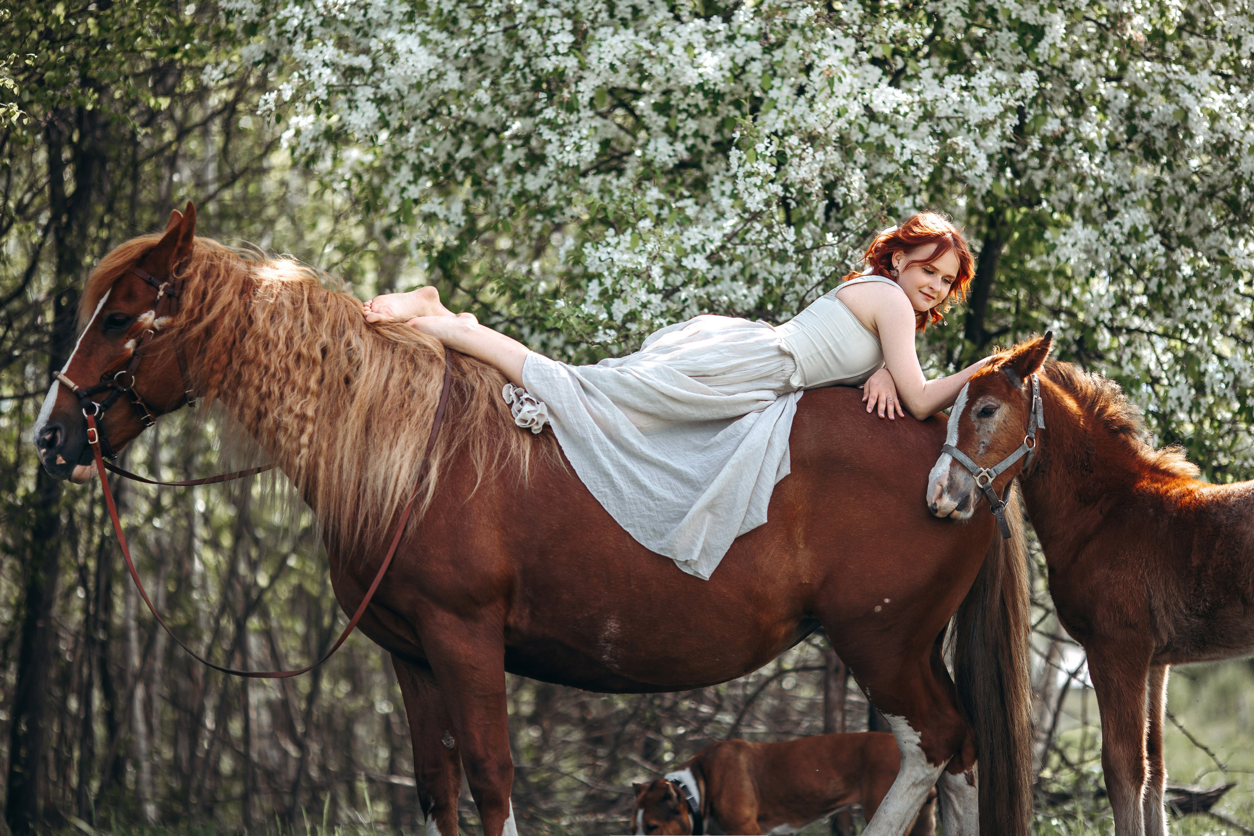 Весенние цветения. Анна Молчанова конный фотограф в Тюмени | фотосессии с лошадьми Тюмень