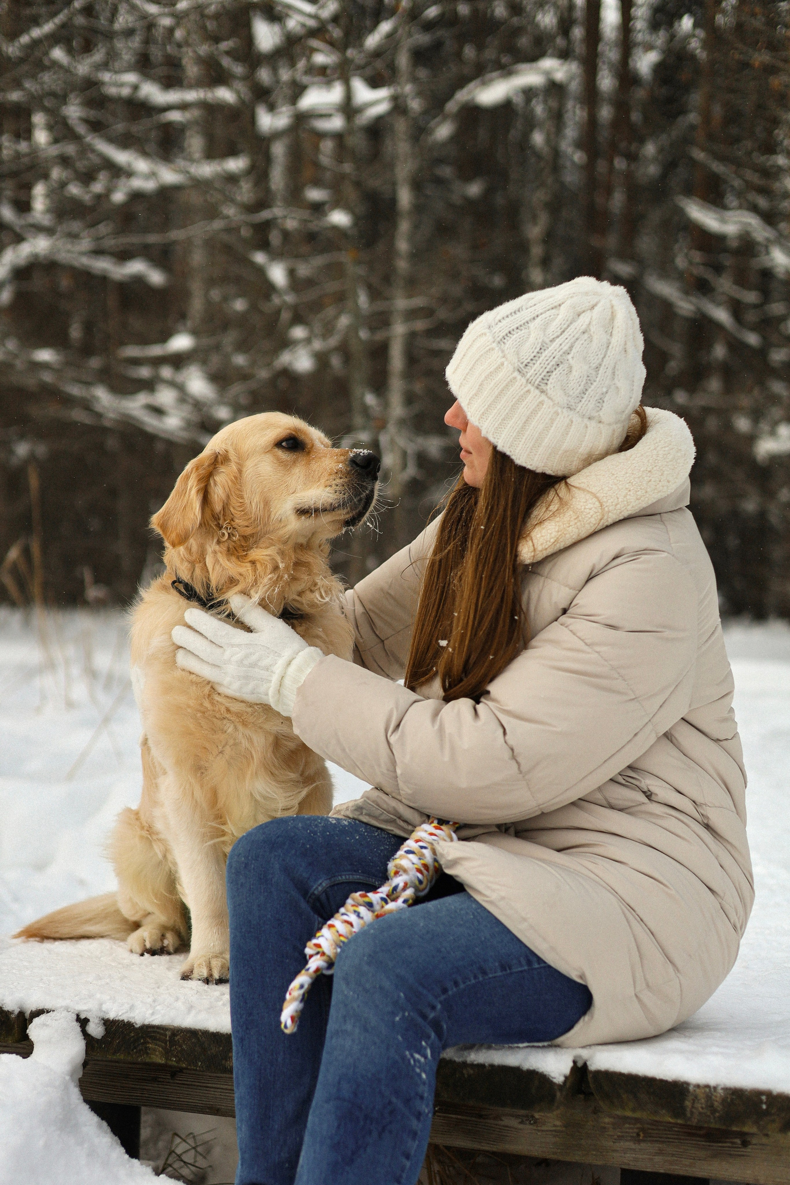 Стивен, Лена и Миша. Фотограф-анималист Ксения Шевцова|Москва