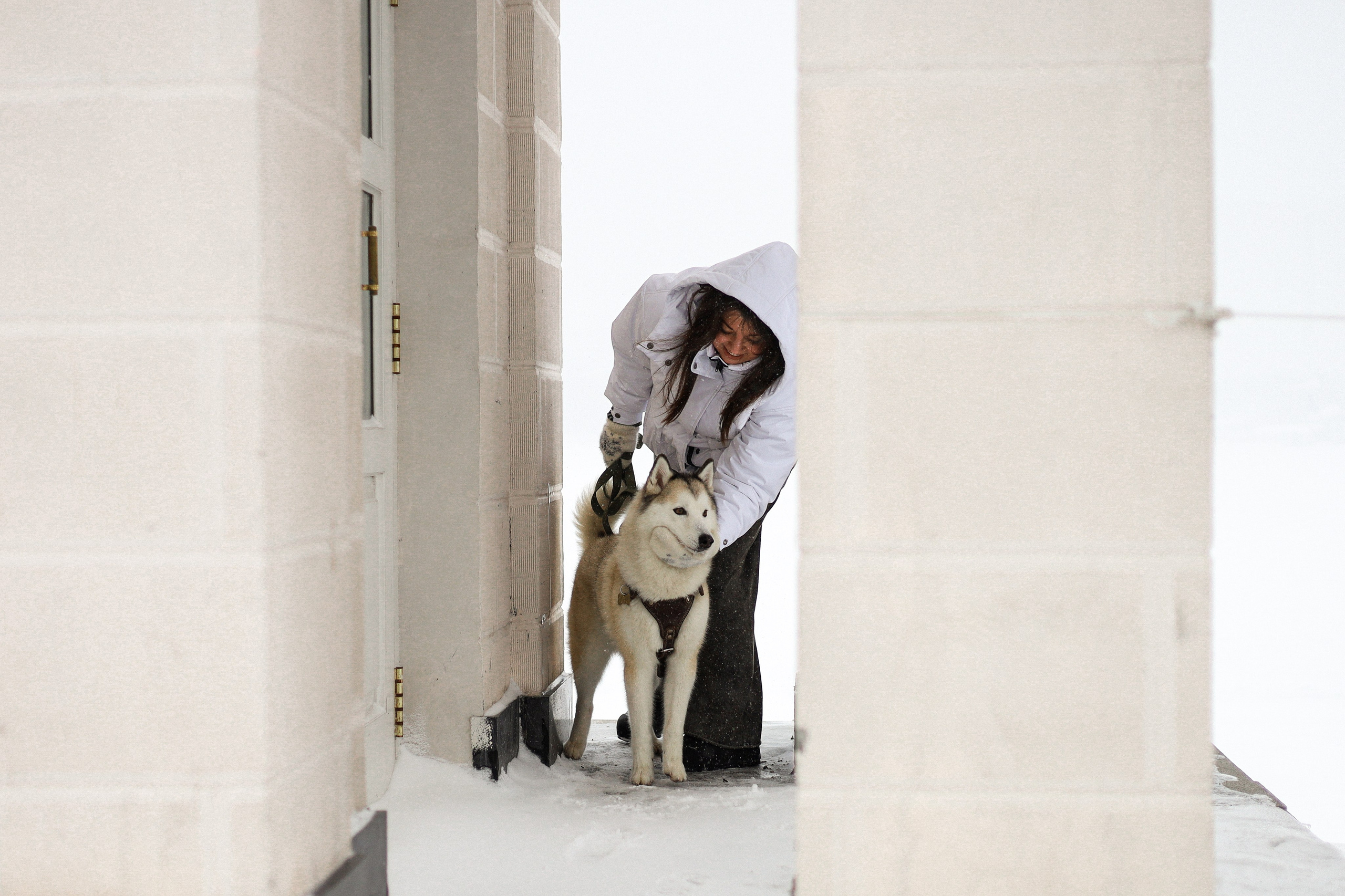 Мила, Лиза и Матвей. Фотограф-анималист Ксения Шевцова|Москва
