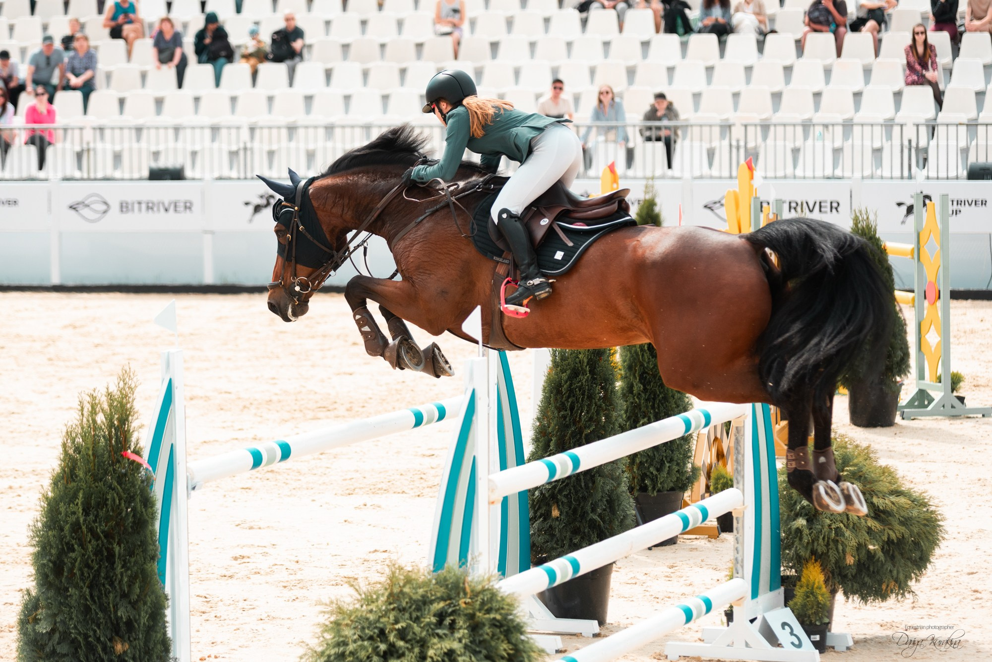 BITRIVER CUP 2023. Конный фотограф Куракина Дарья • Фотосессии с лошадьми