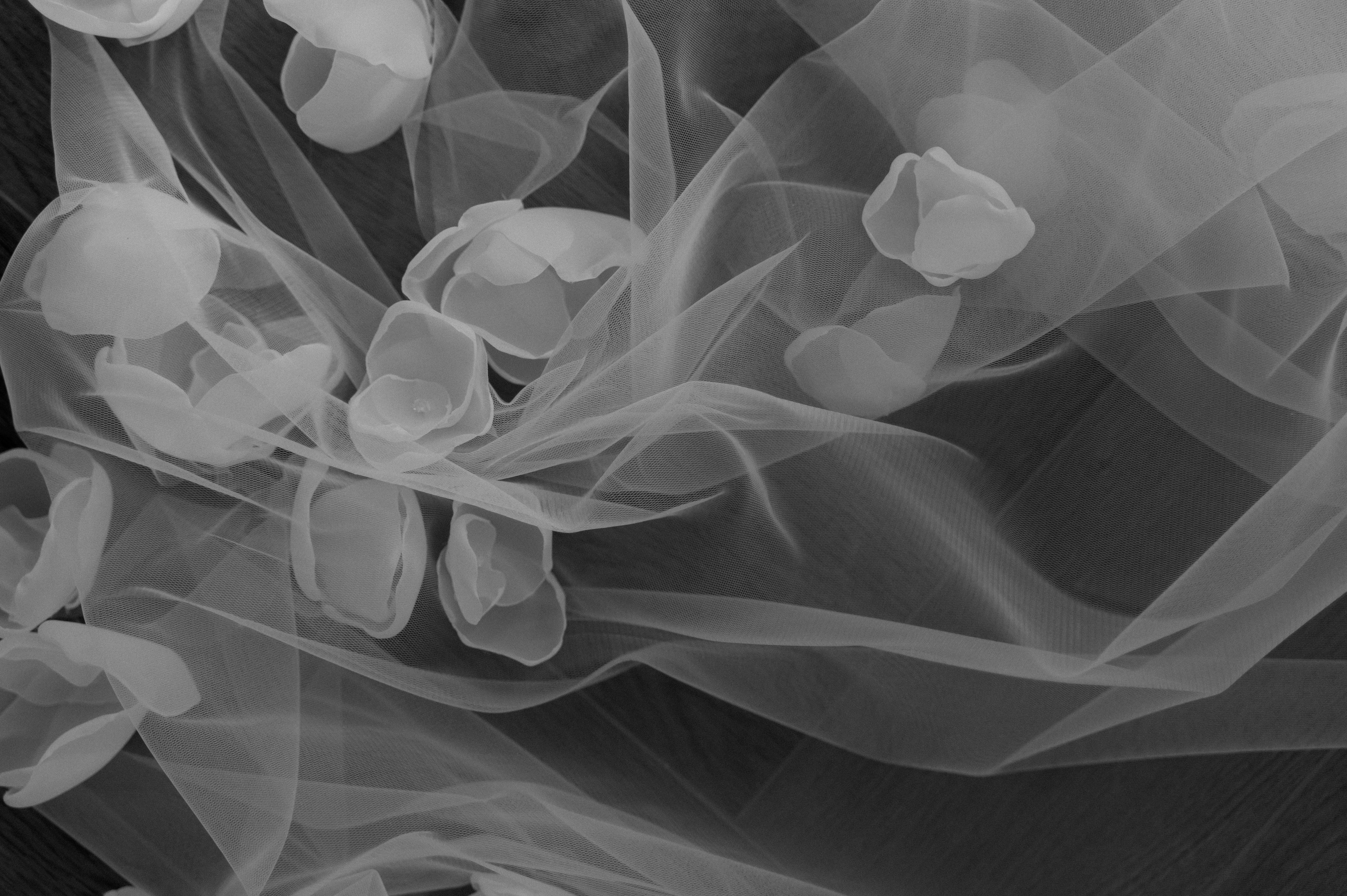 Данил и Карина. Фотограф Павел Петров г. Тюмень