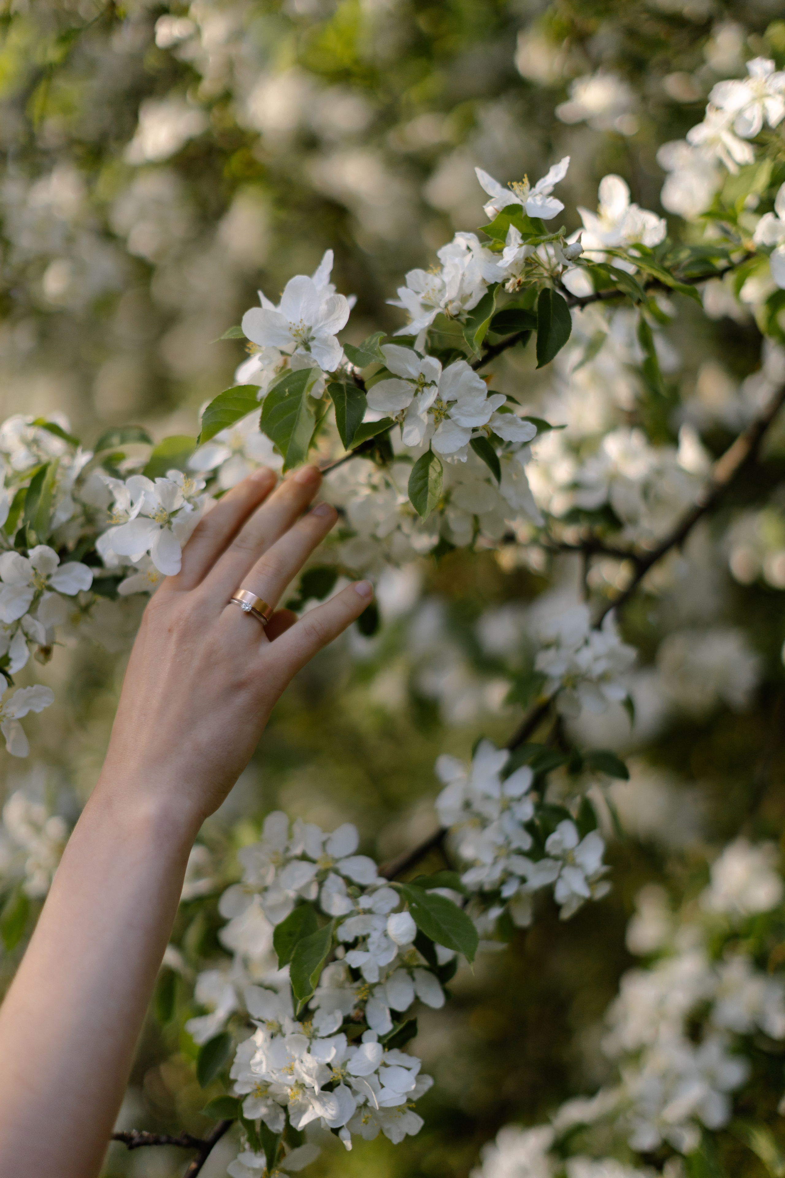 Игорь и Александра. @dariazphoto свадебный фотограф