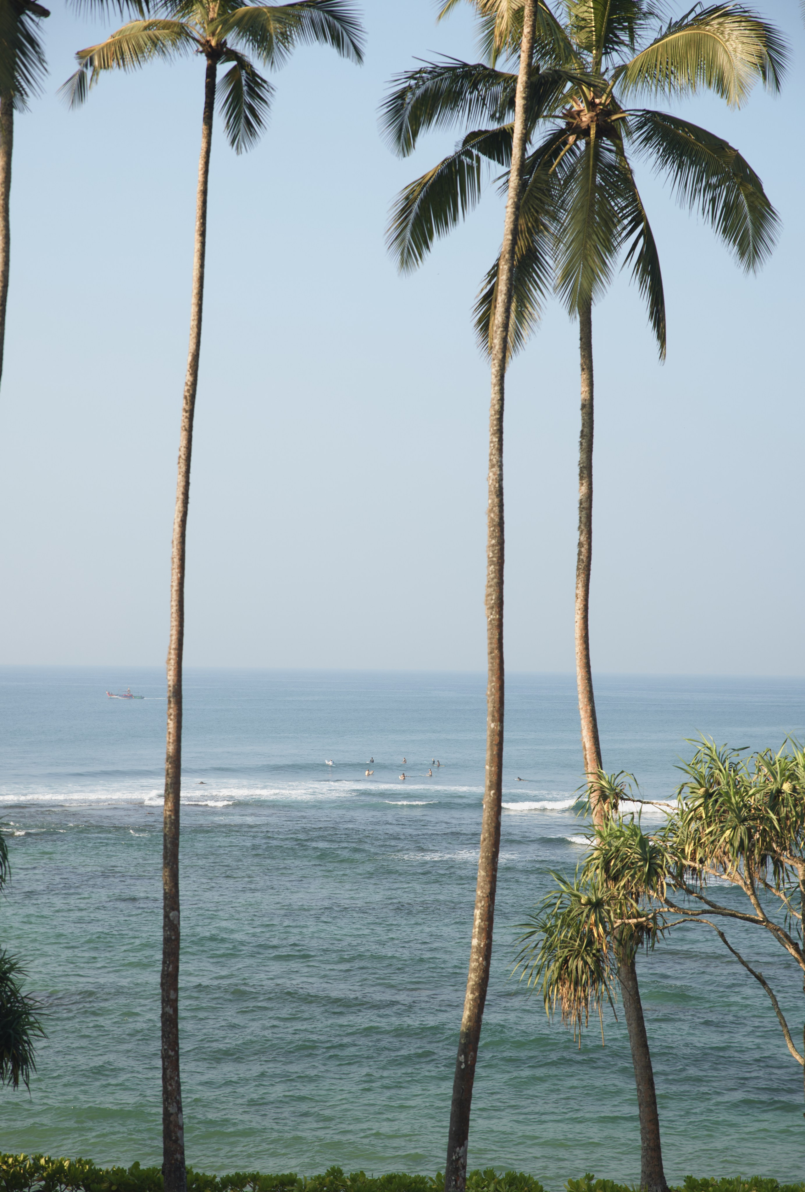 Шри-ланка. Ретрит «Bodу.Mind.Soul» Март 2024 Фото. Профессиональный фотограф Татьяна Евглевская
