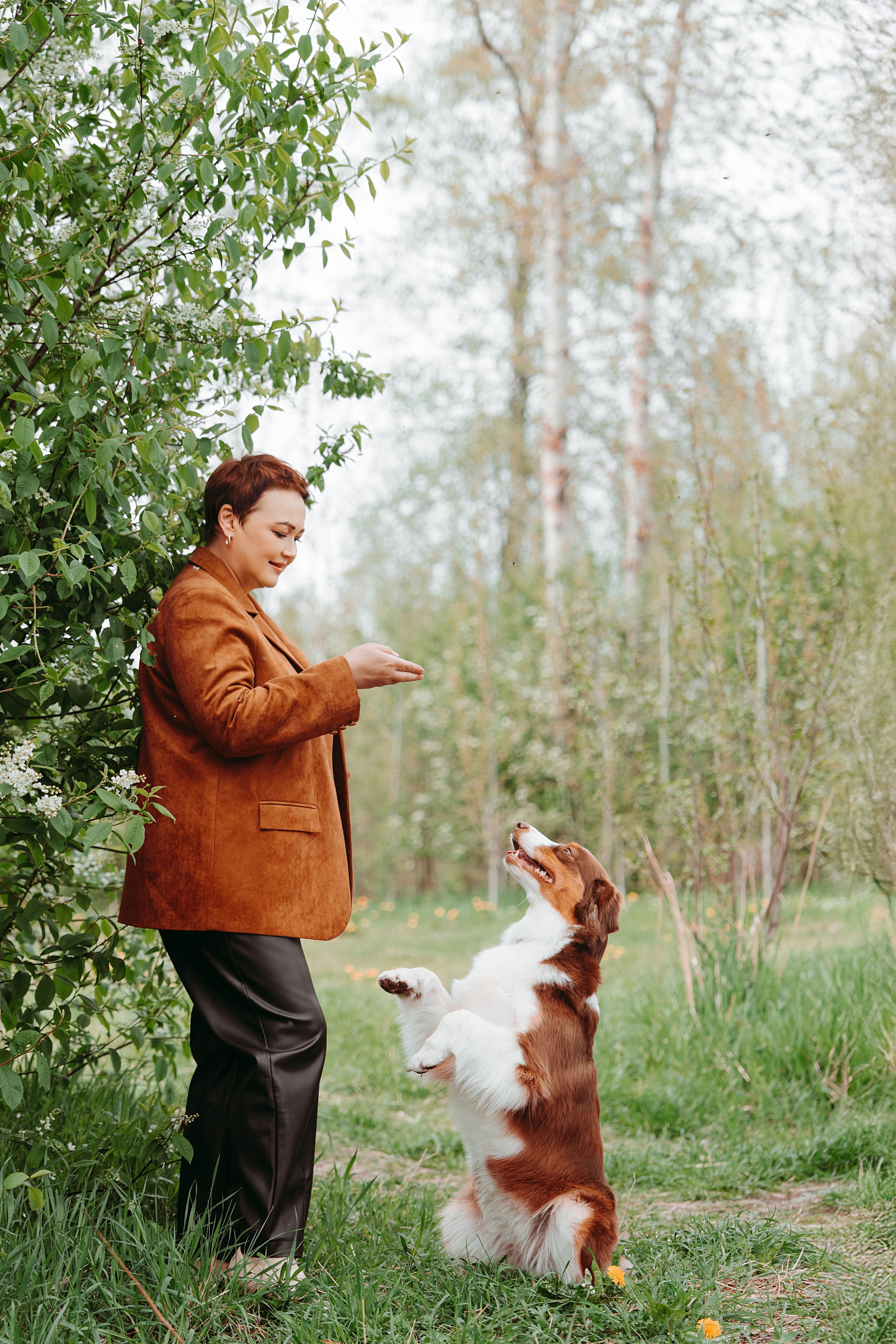 Хвостики. Главная