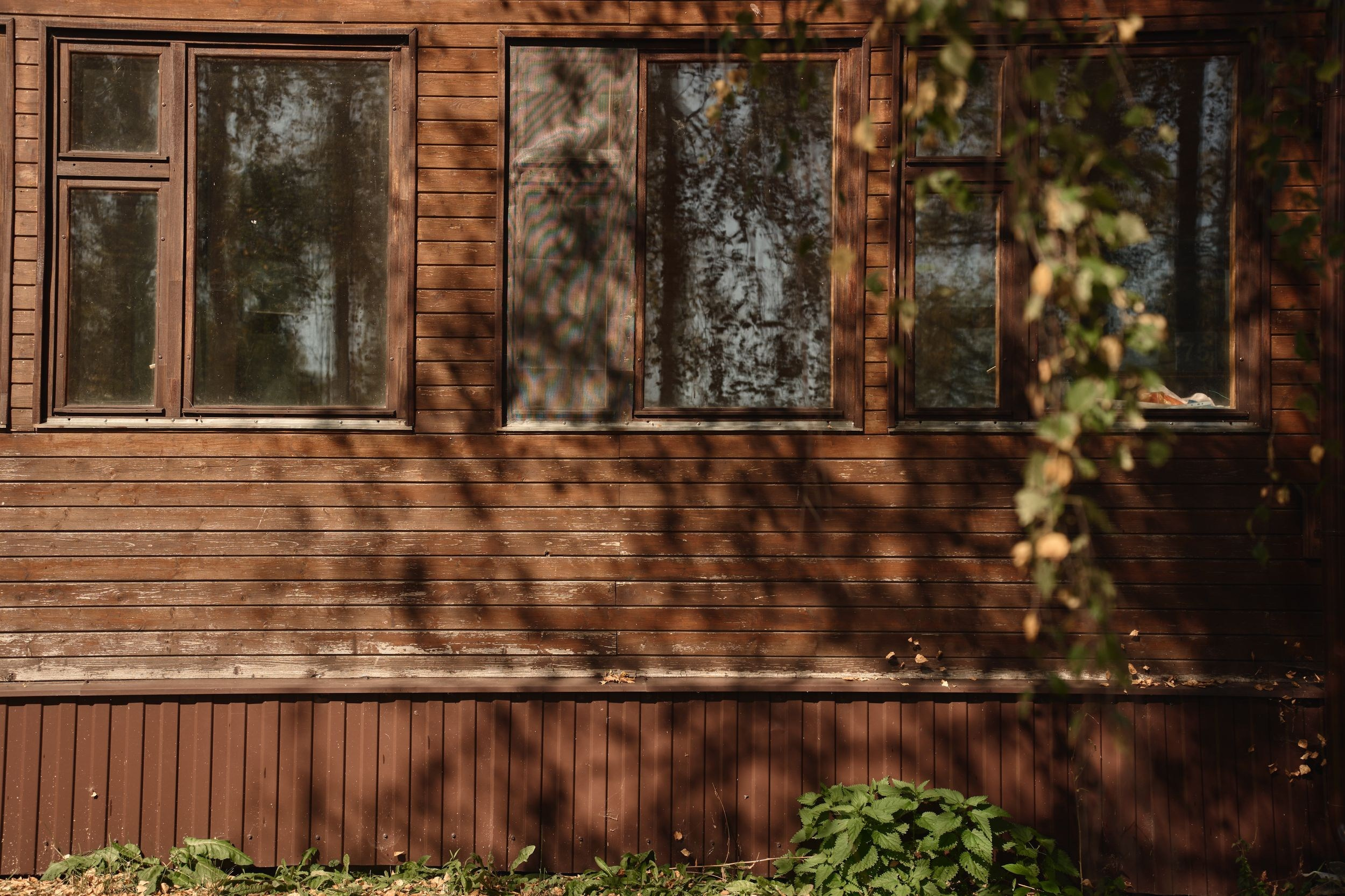 Семейная стрижка газона. Фотограф Женя Пашкина