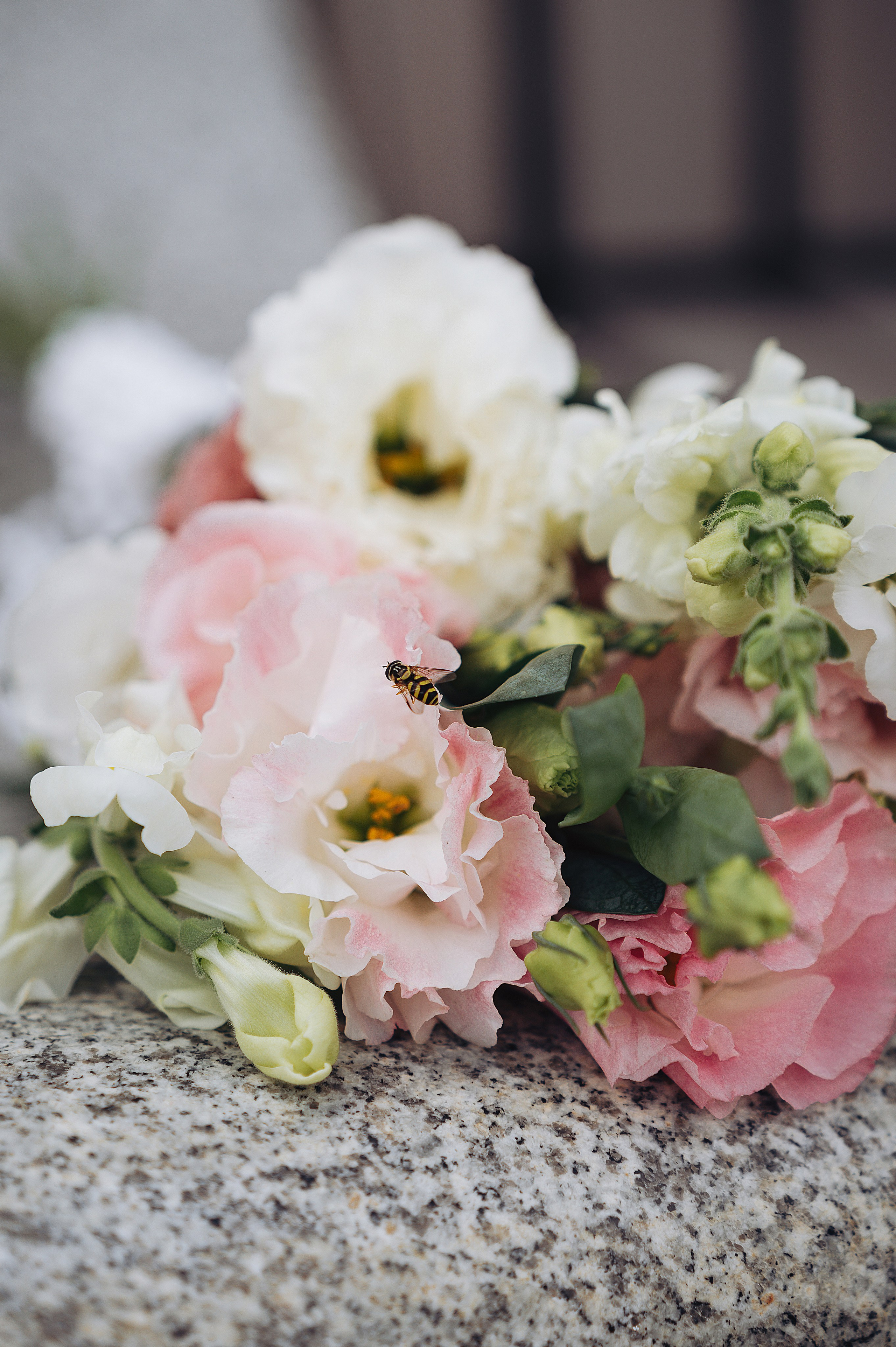 Дима | Настя